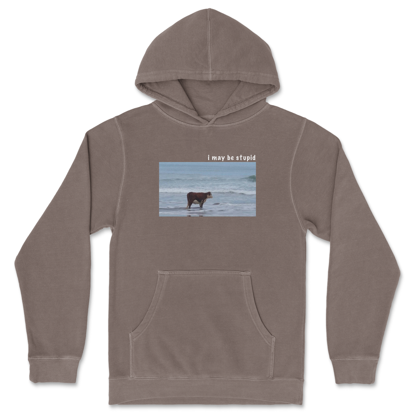 Independent Clothing Co. Hoodie Stupid in Clay