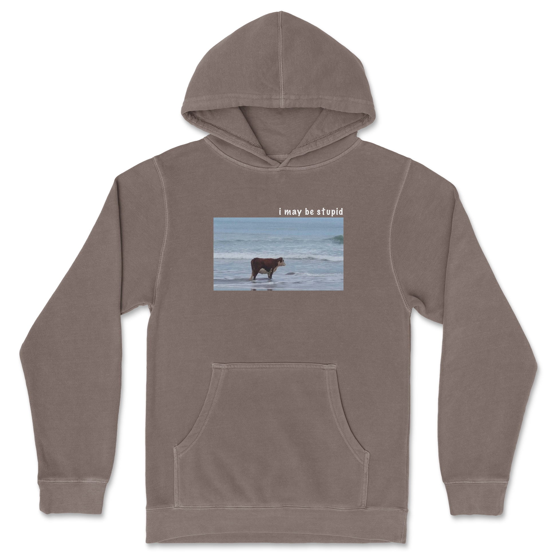 Independent Clothing Co. Hoodie Stupid in Clay