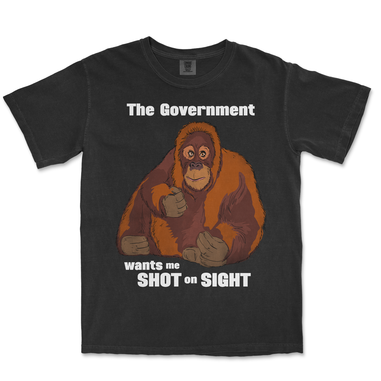 Comfort Colors T-Shirt The Government Hates Me in Black