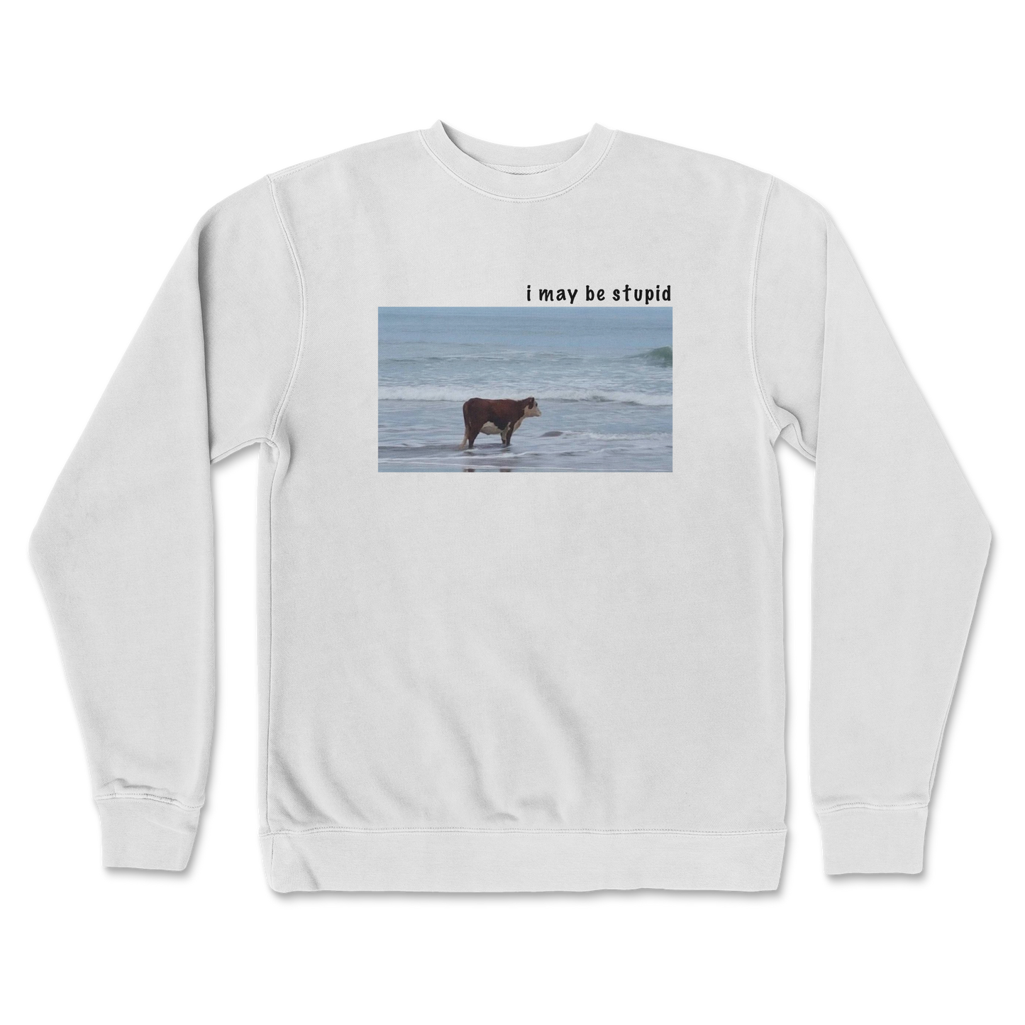 Independent Clothing Co. Crew Neck Stupid in White