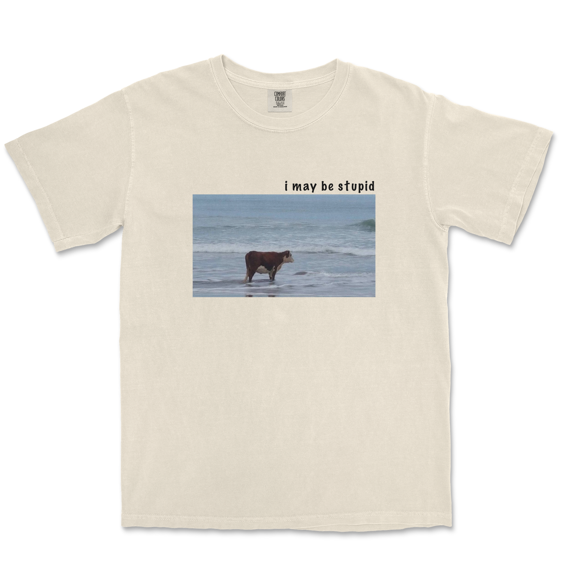 Comfort Colors T-Shirt Stupid in Ivory