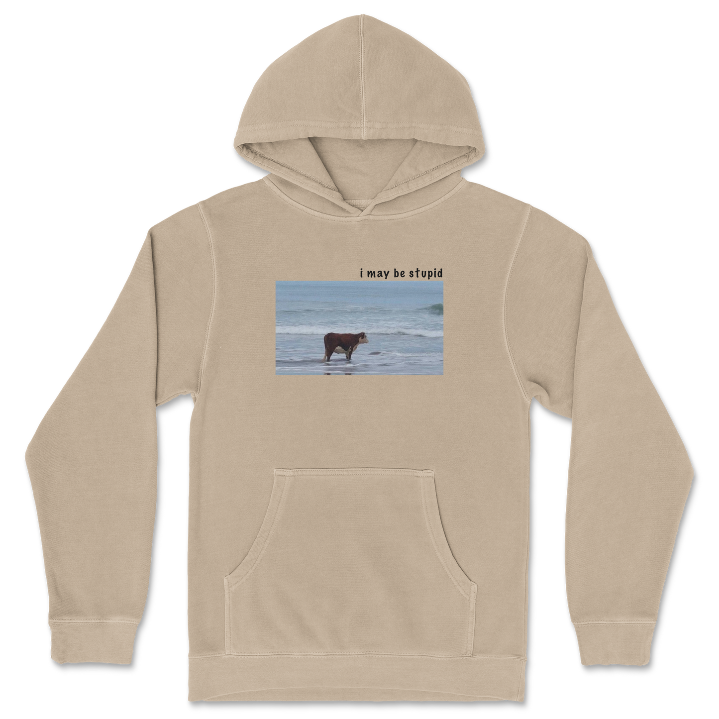 Independent Clothing Co. Hoodie Stupid in Sandstone