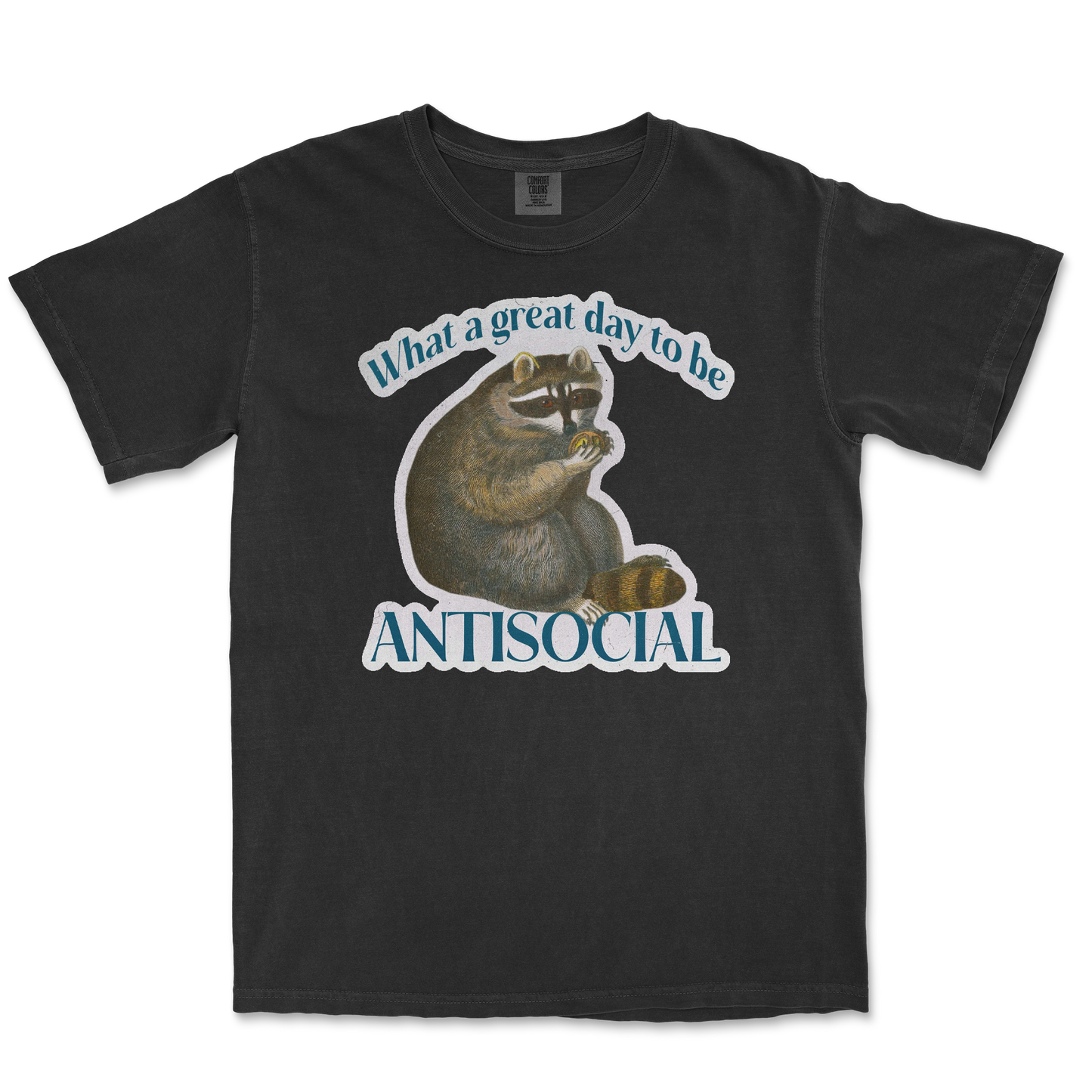 Comfort Colors T-Shirt Antisocial in Black