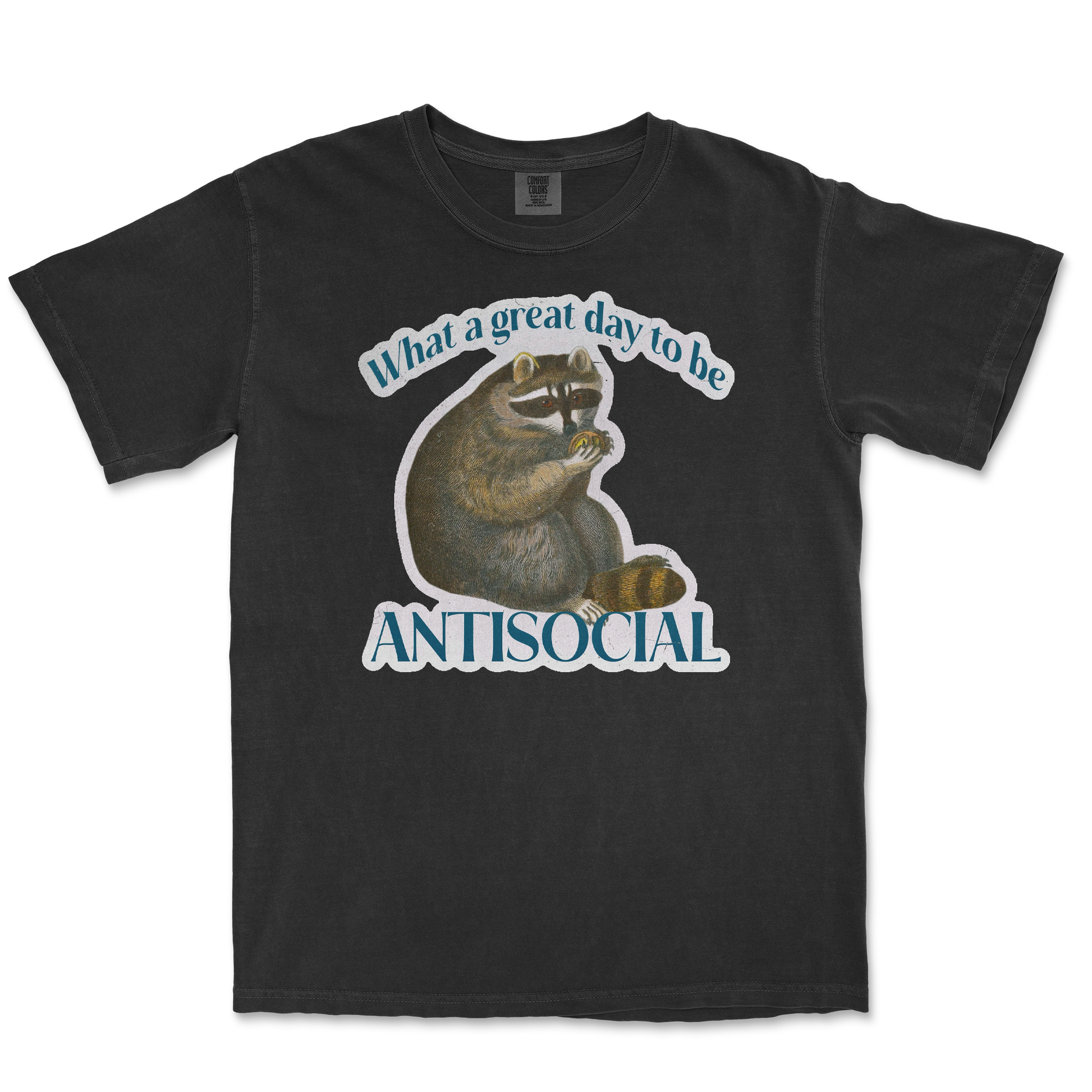 Comfort Colors T-Shirt Antisocial in Black