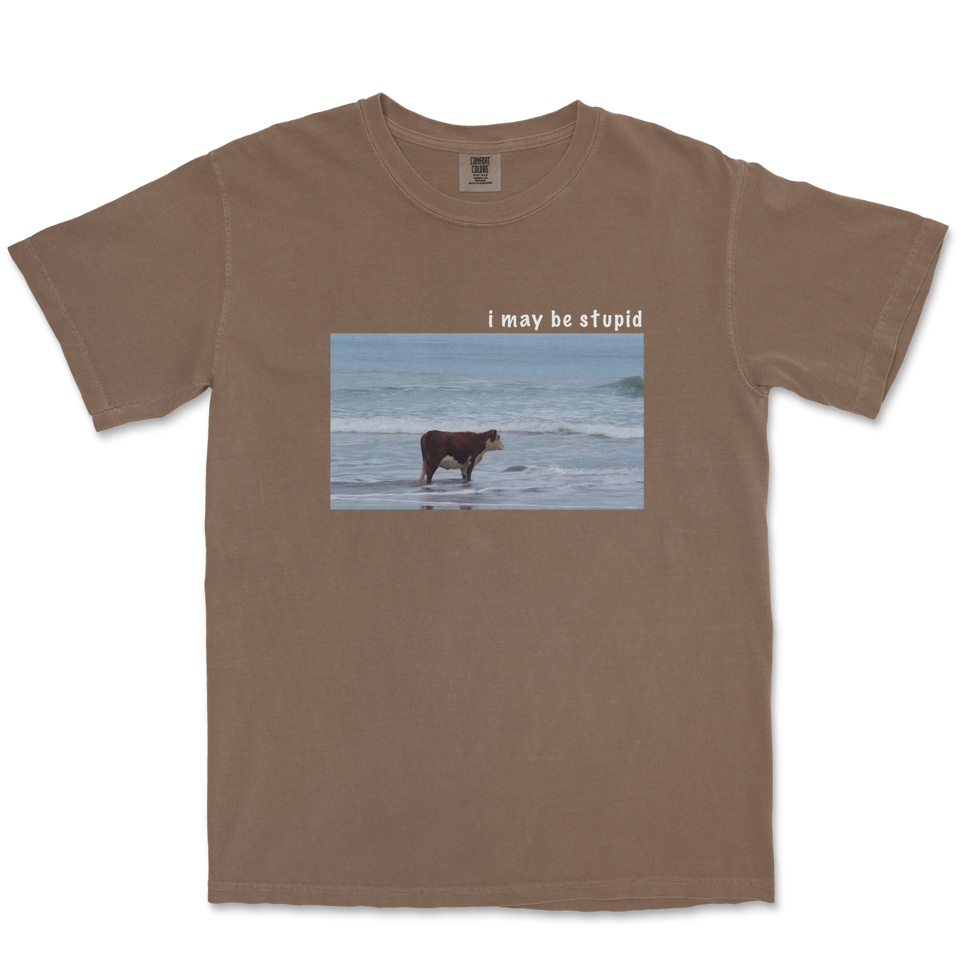 Comfort Colors T-Shirt Stupid in Espresso