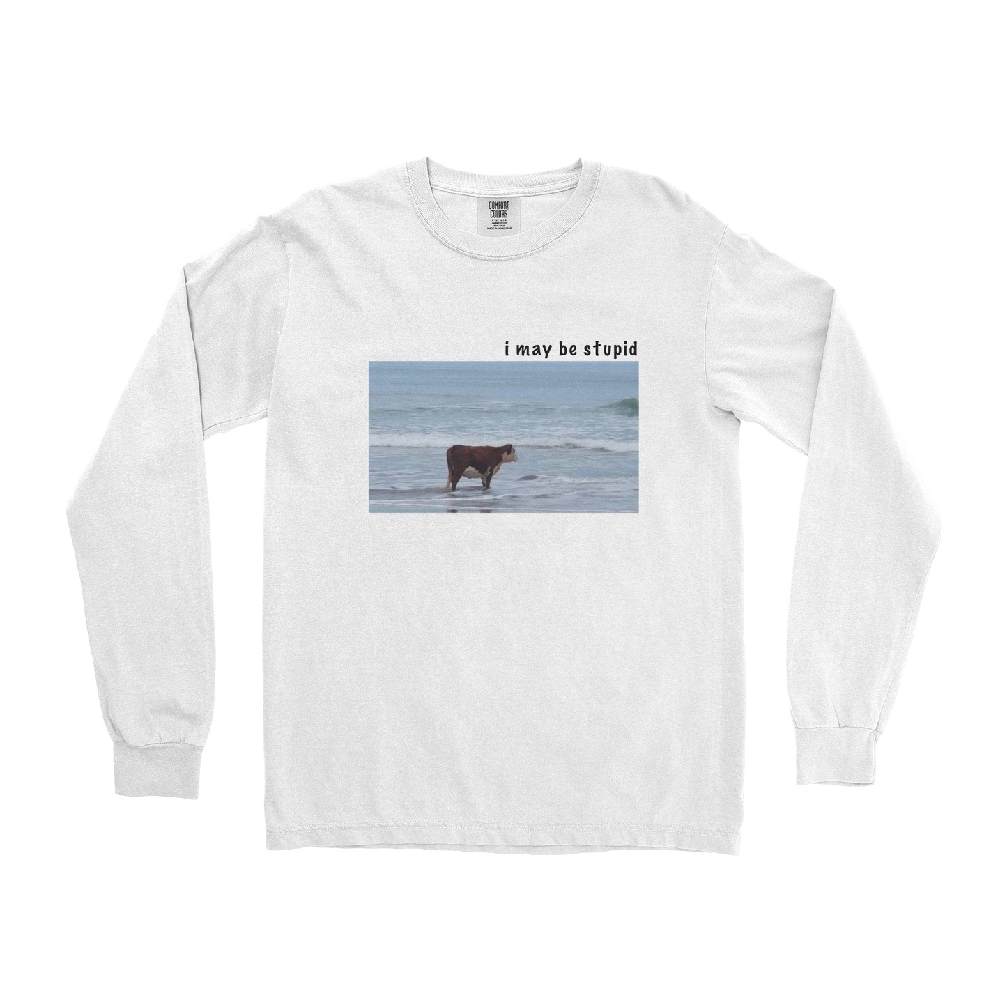 Comfort Colors Long Sleeve Stupid in White