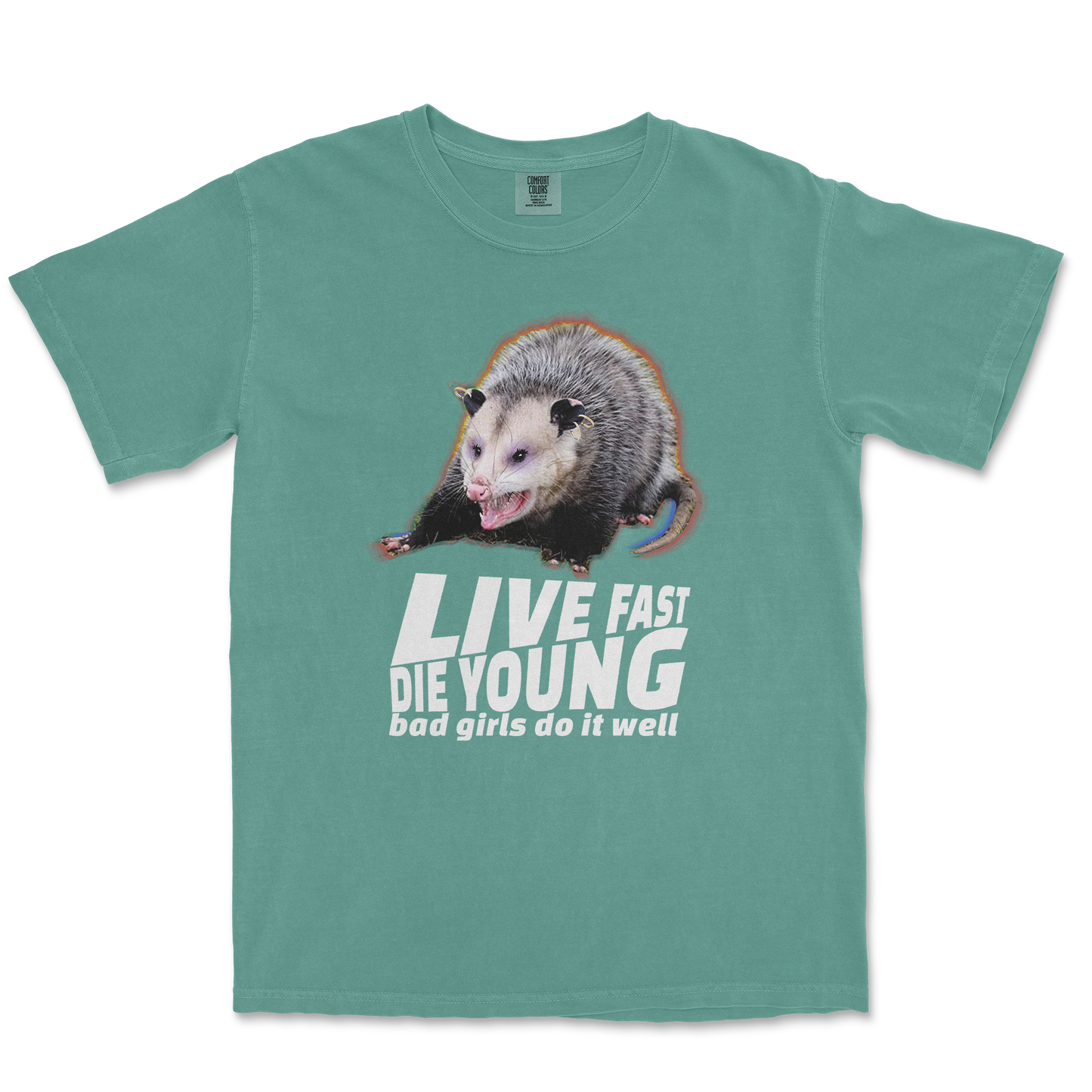 Comfort Colors T-Shirt Live Fast Die Young in LightGreen