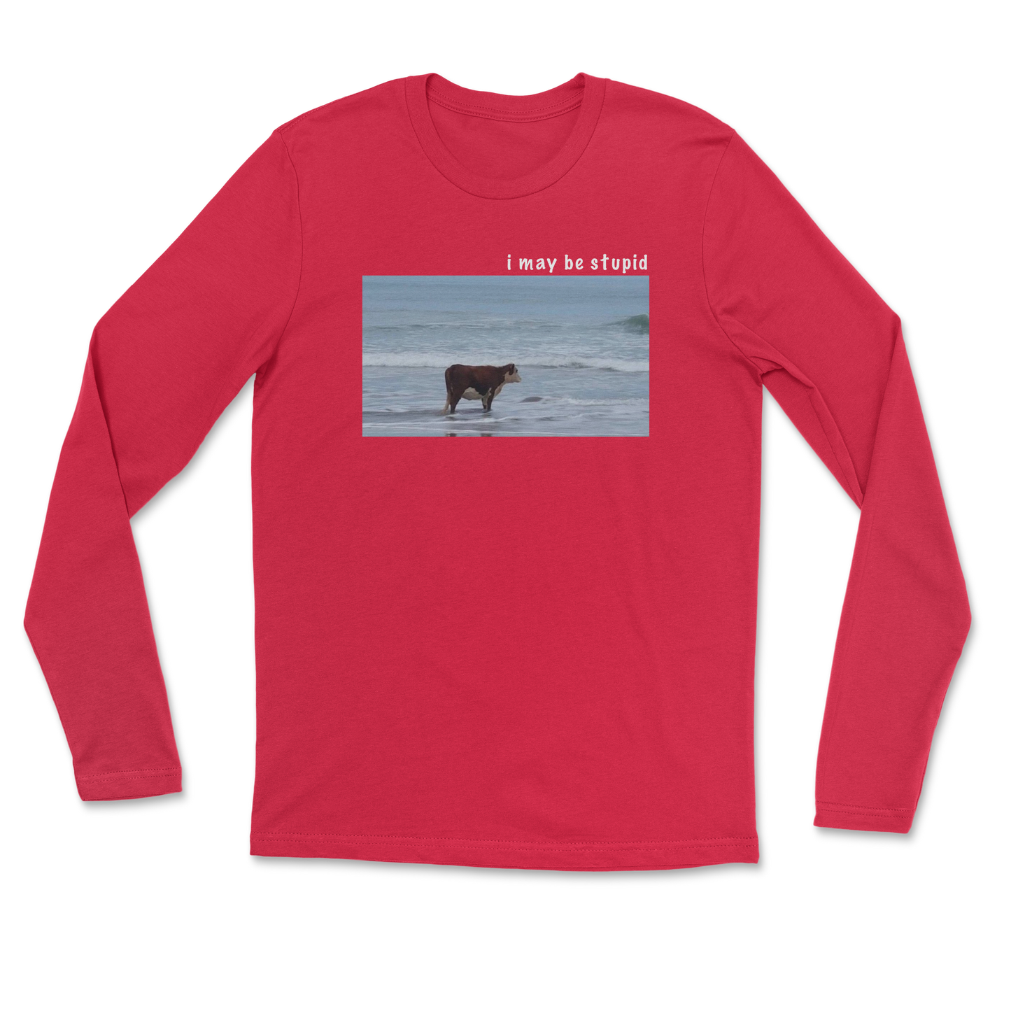 Heavy Blend Long Sleeve Stupid in Red