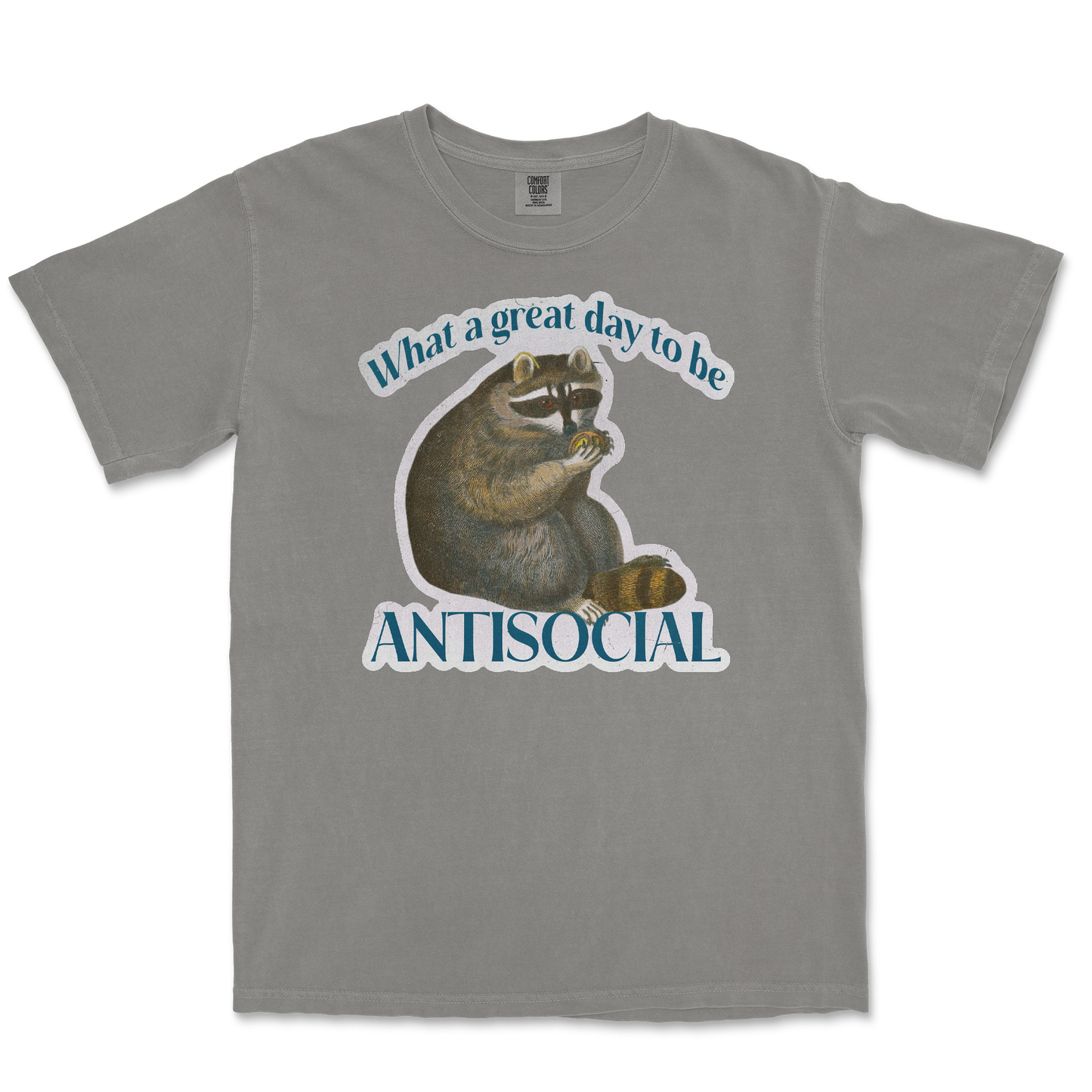 Comfort Colors T-Shirt Antisocial in Grey