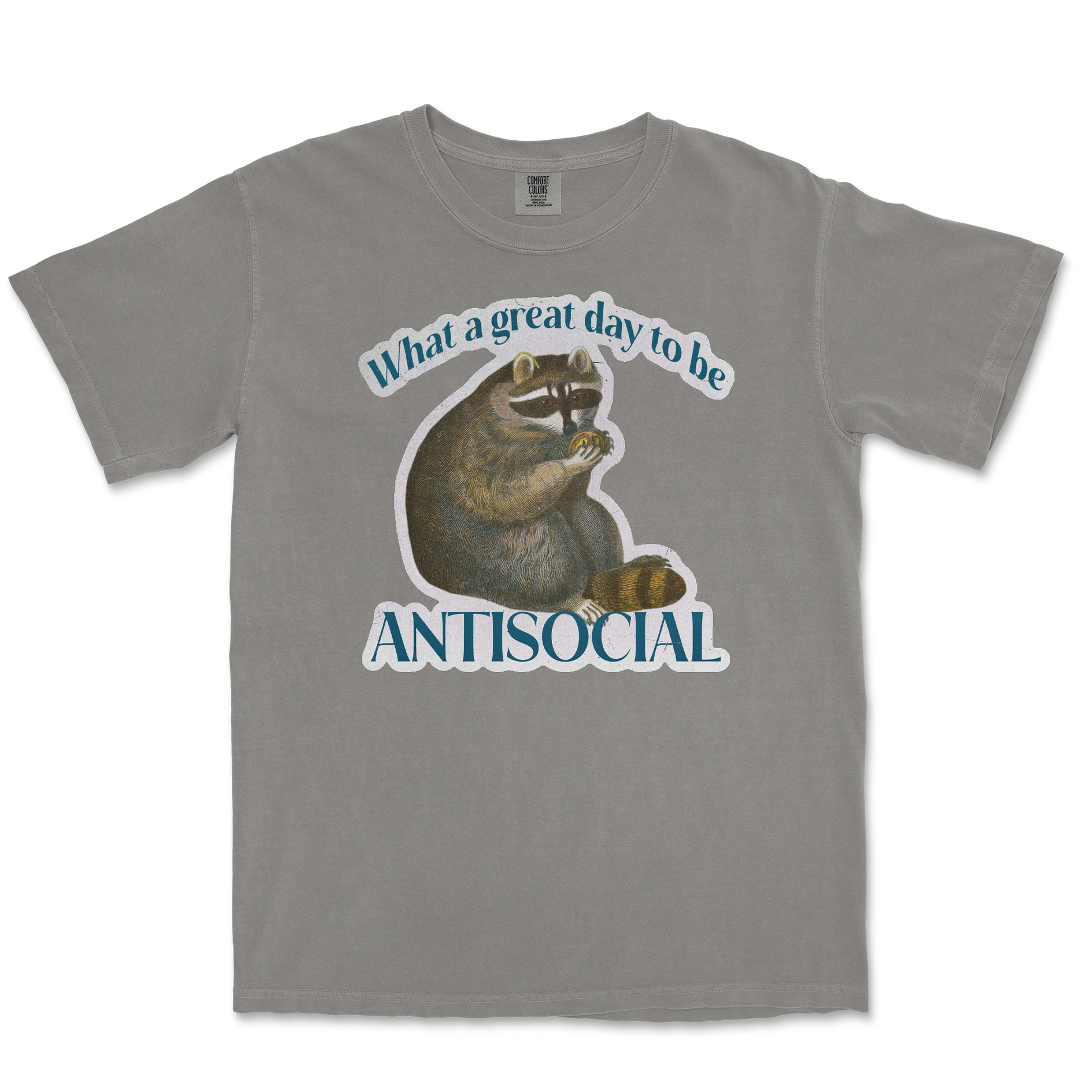 Comfort Colors T-Shirt Antisocial in Grey