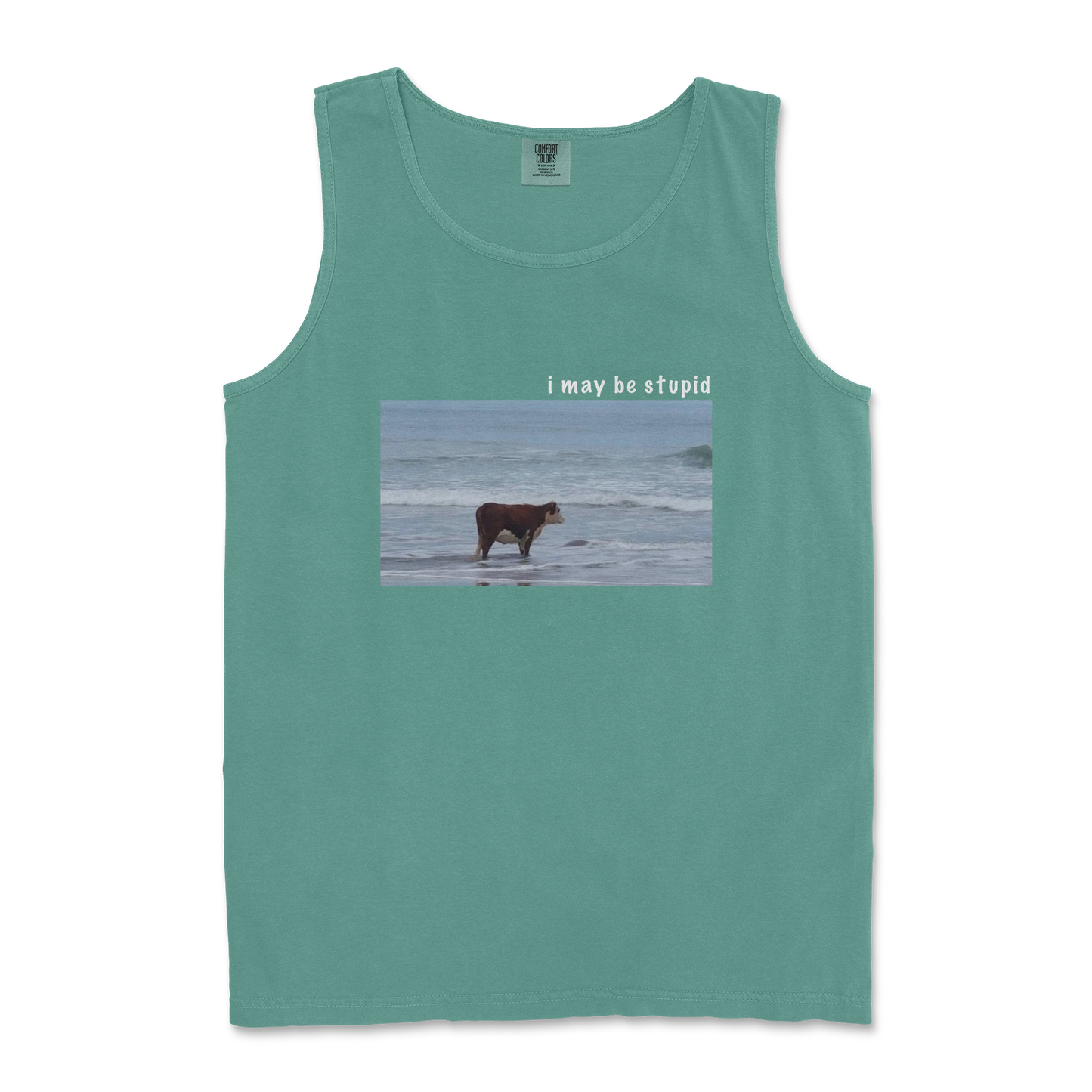 Comfort Colors Tank Top Stupid in Light Green
