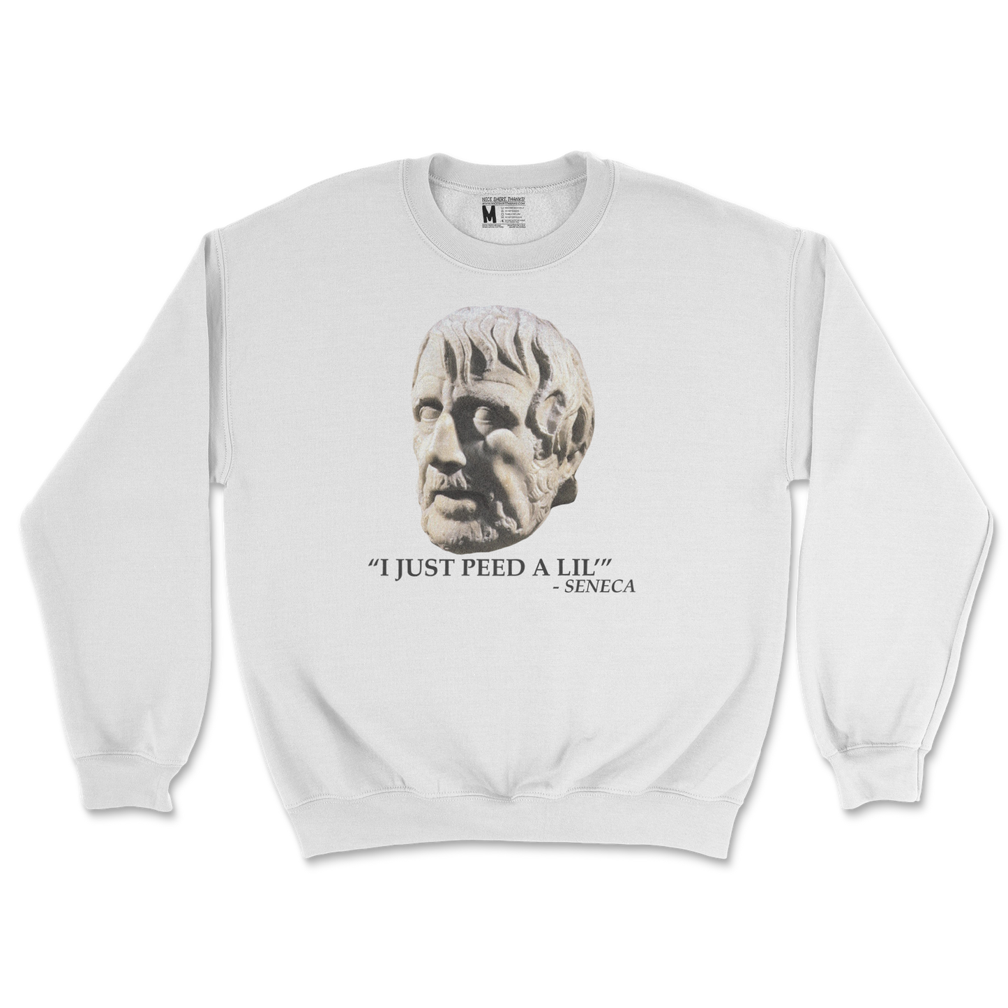 Gildan SoftStyle Crew Neck Seneca Pee in White