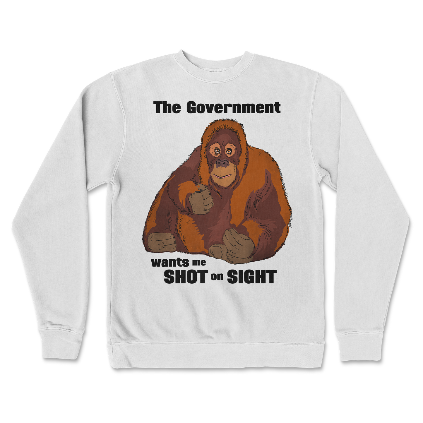 Independent Clothing Co. Crew Neck The Government Hates Me in white