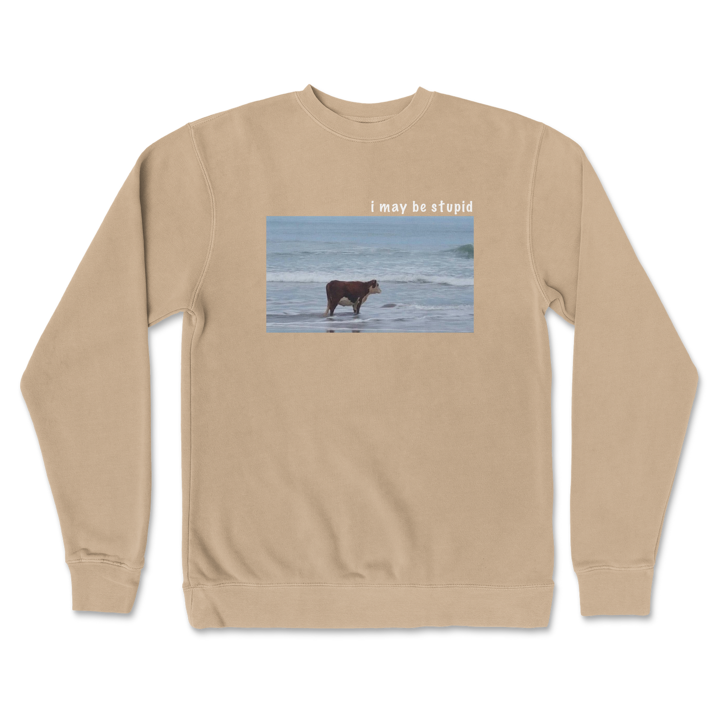 Independent Clothing Co. Crew Neck Stupid in Sandstone