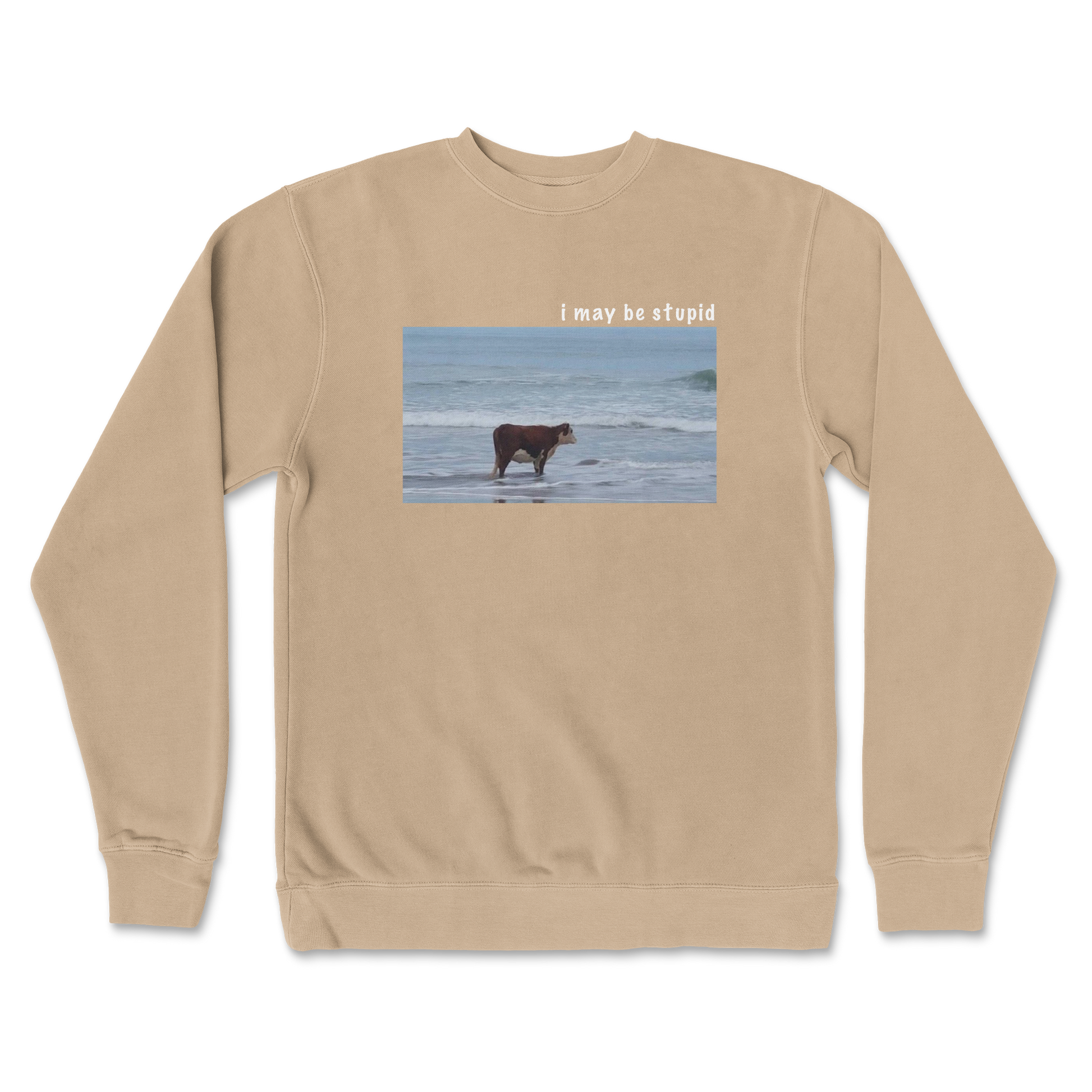 Independent Clothing Co. Crew Neck Stupid in Sandstone