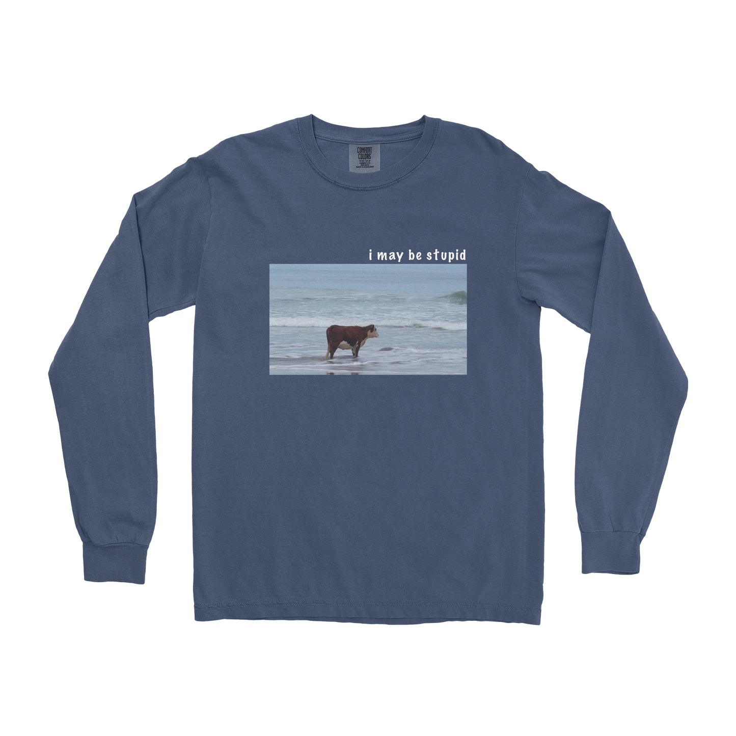 Comfort Colors Long Sleeve Stupid in Midnight