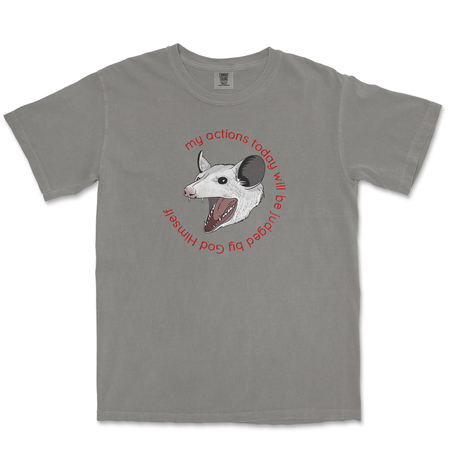 Comfort Colors T-Shirt in Grey