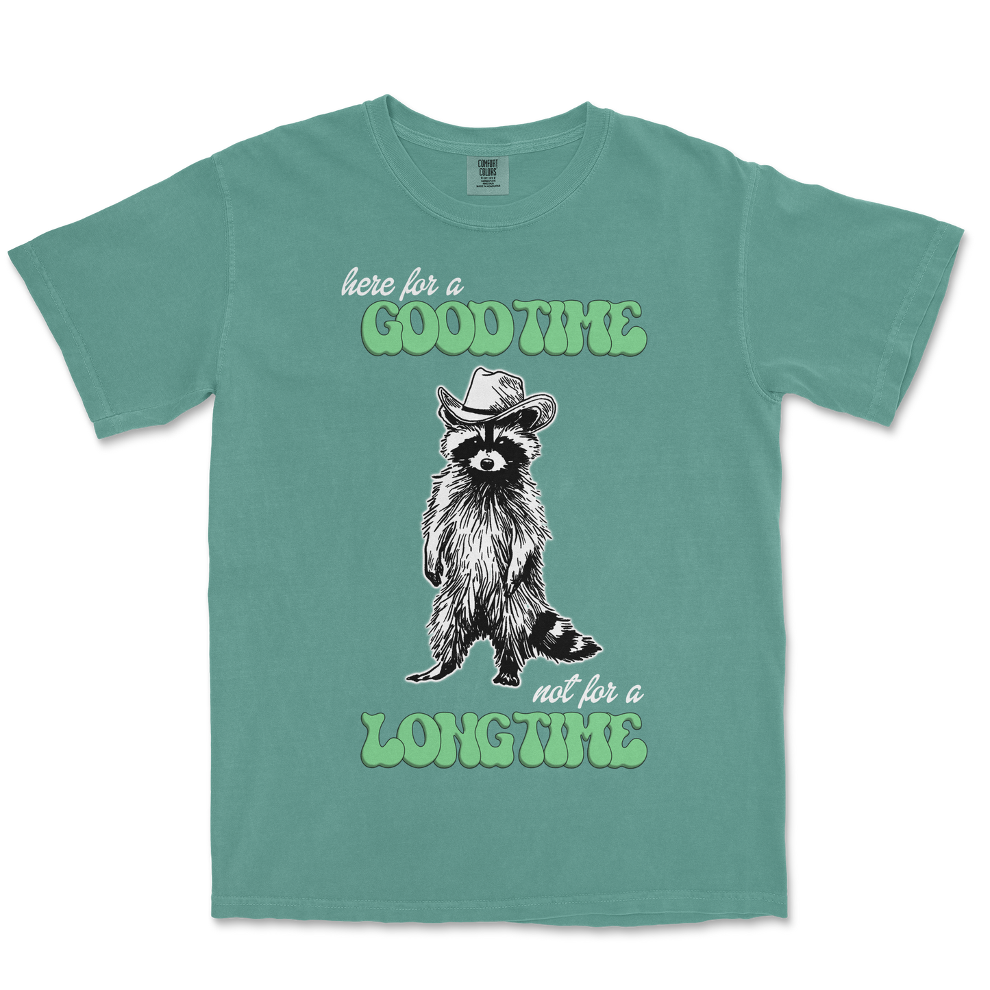 Comfort Colors T-Shirt Here For A Good Time in Light-Green