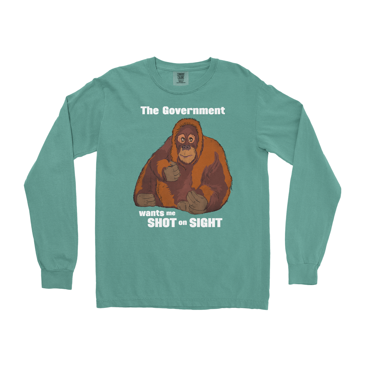 Comfort Colors Long Sleeve The Government Hates Me in Light-Green