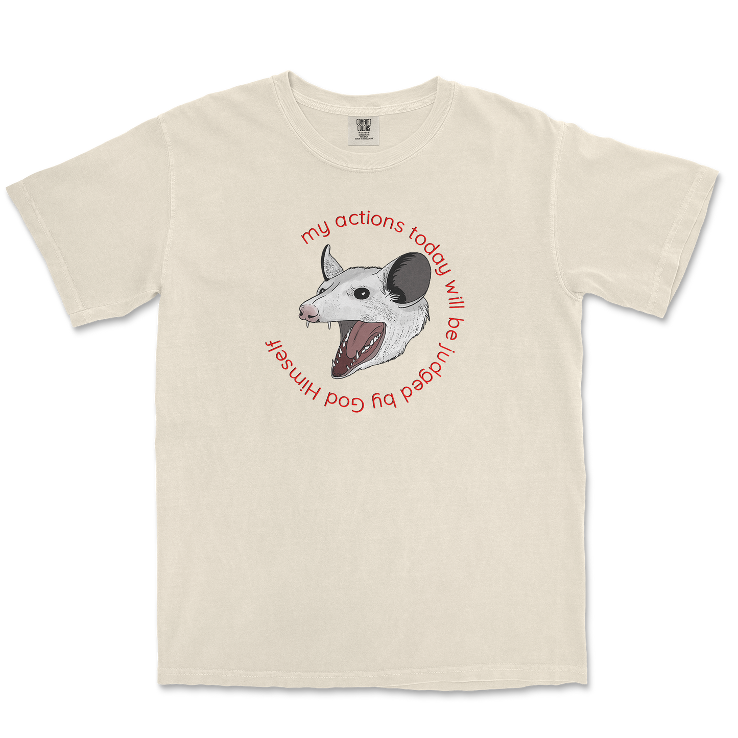 Comfort Colors T-Shirt in Ivory