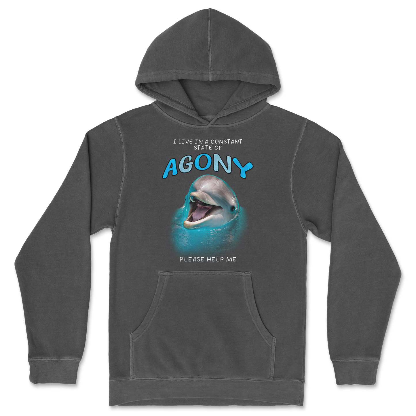 Independent Clothing Co. Hoodie Agony Dolphin in Black