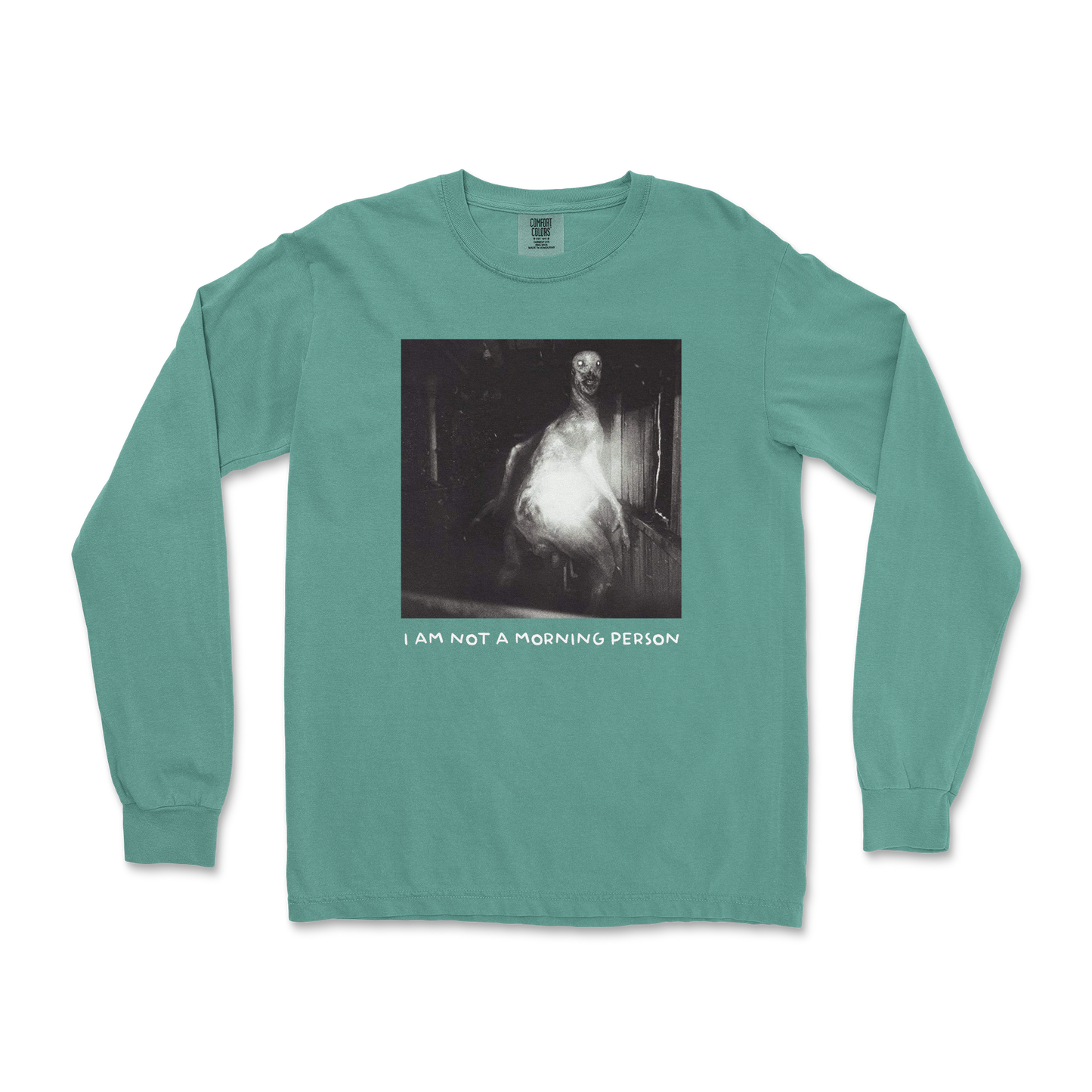 Comfort Colors Long Sleeve Not A Morning Person in LightGreen