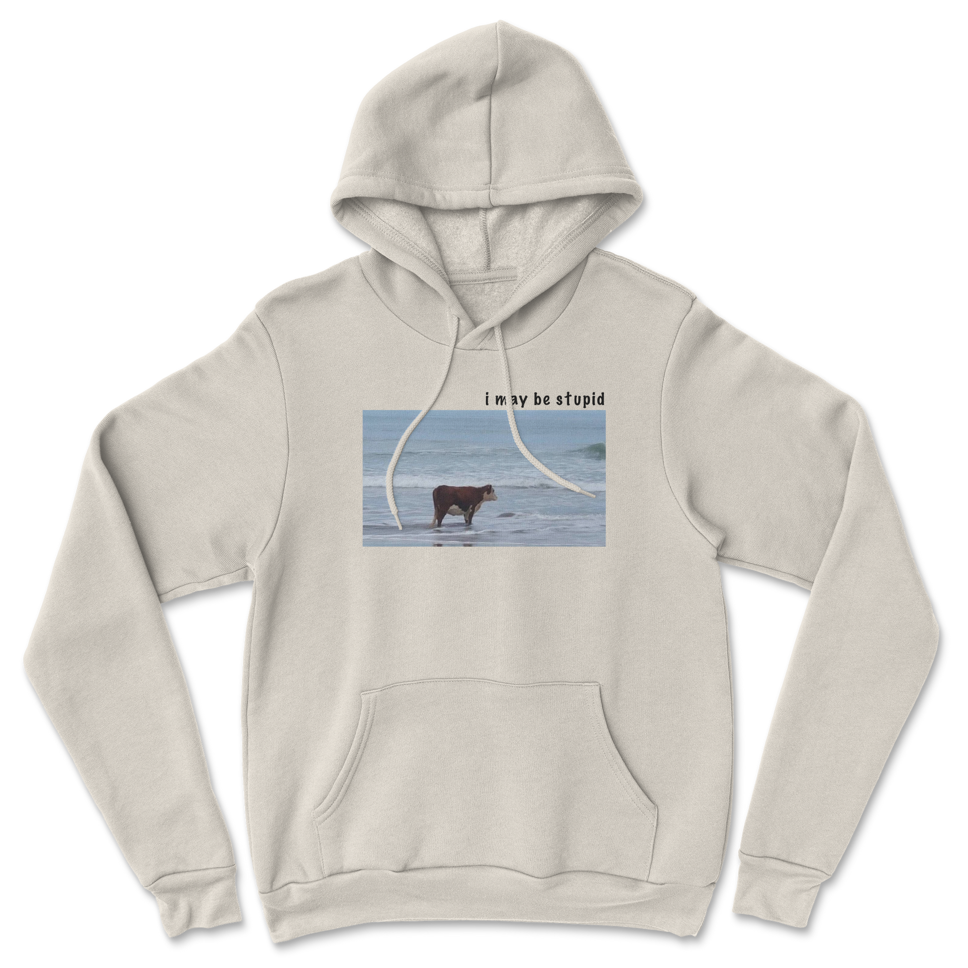 Heavy Blend Hoodie Stupid in Sand
