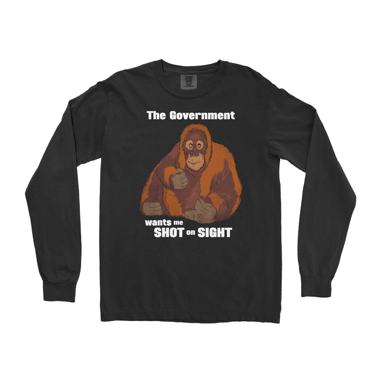 Comfort Colors Long Sleeve The Government Hates Me in Black
