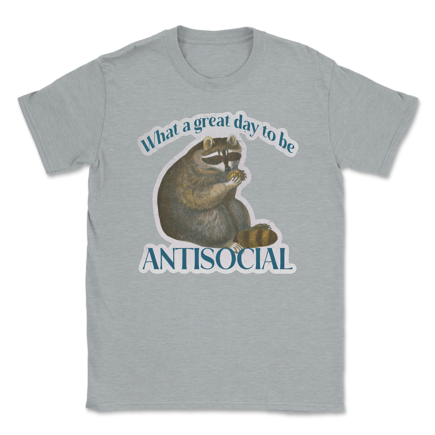 Heavy Blend T-Shirt Antisocial in Sports Grey