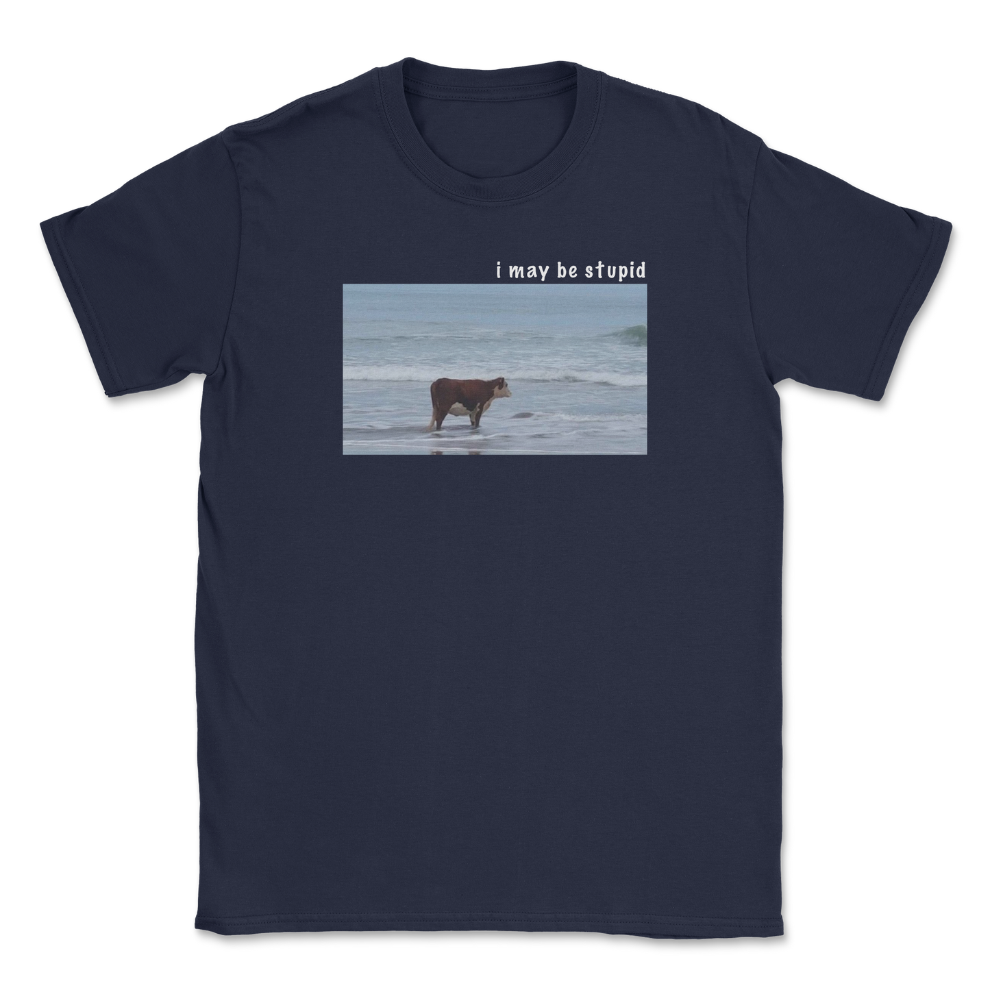 Heavy Blend T-Shirt Stupid in Navy