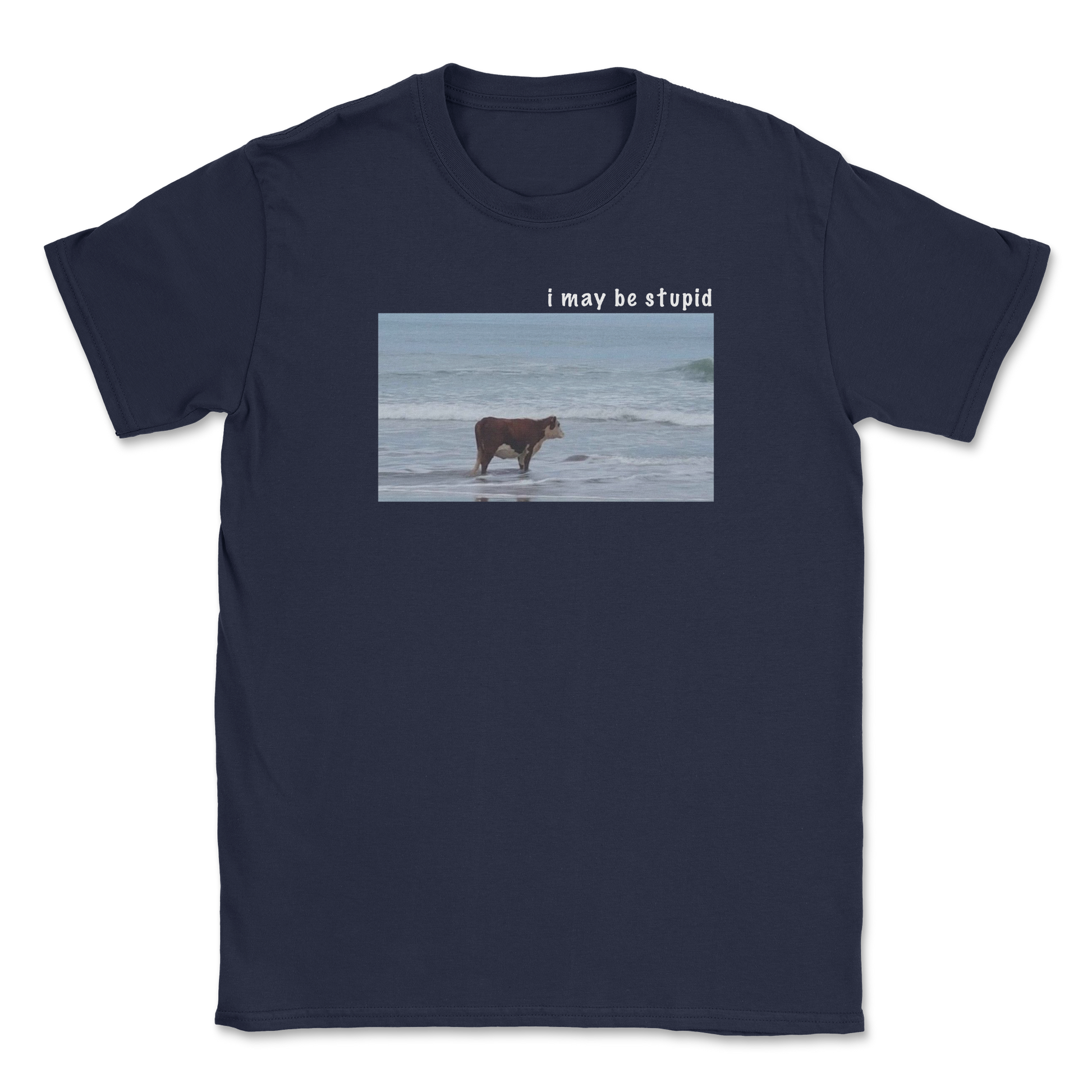 Heavy Blend T-Shirt Stupid in Navy