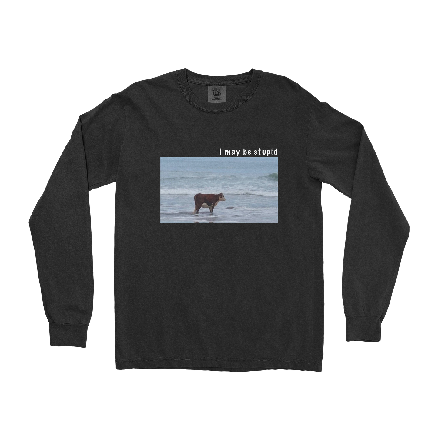 Comfort Colors Long Sleeve Stupid in Black
