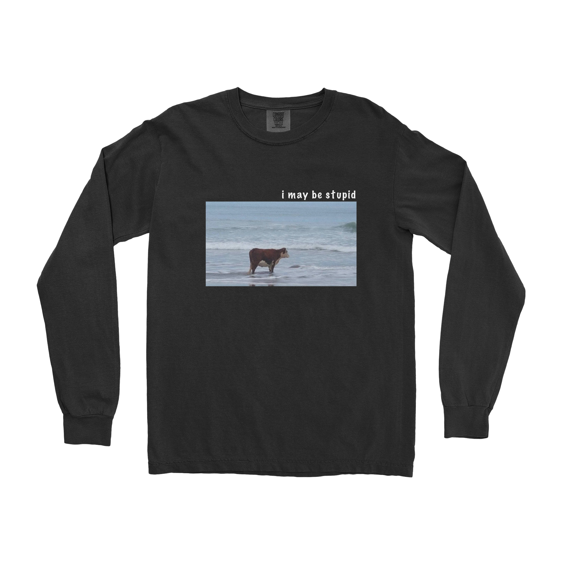 Comfort Colors Long Sleeve Stupid in Black