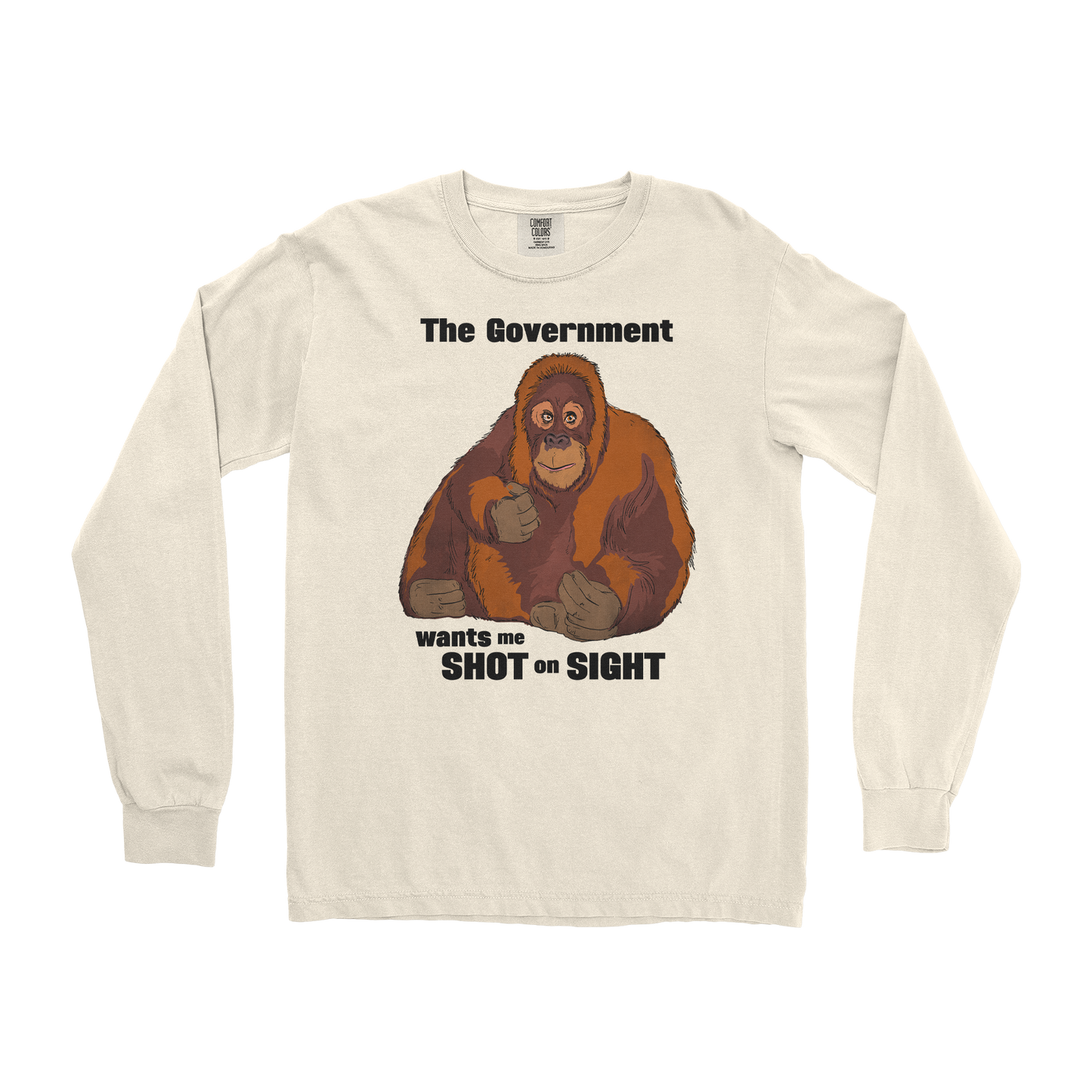 Comfort Colors Long Sleeve The Government Hates Me in Ivory