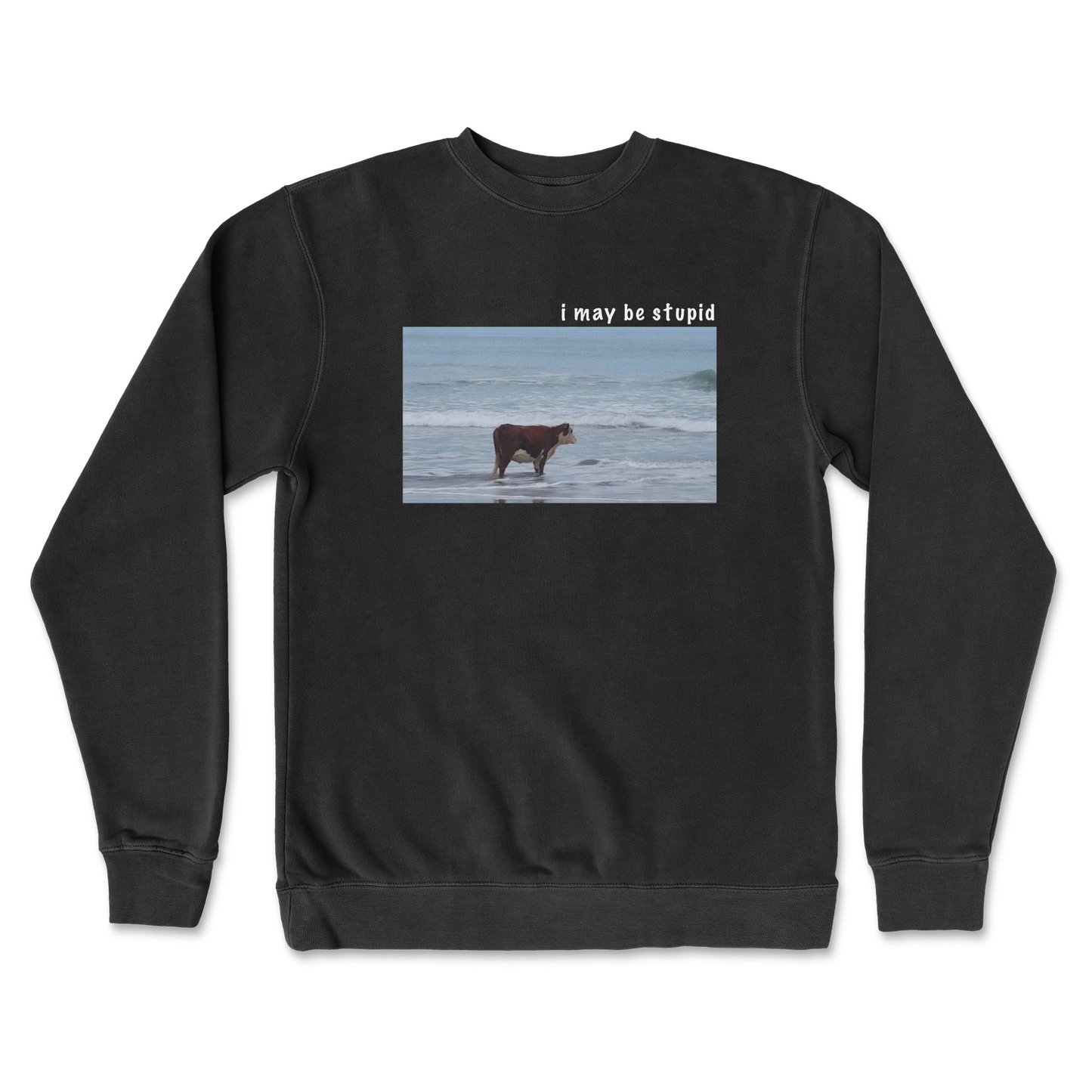 Independent Clothing Co. Crew Neck Stupid in Black