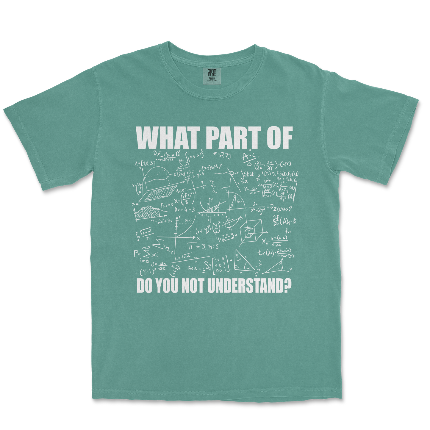 Comfort Colors T-Shirt Math Problem in Light-Green
