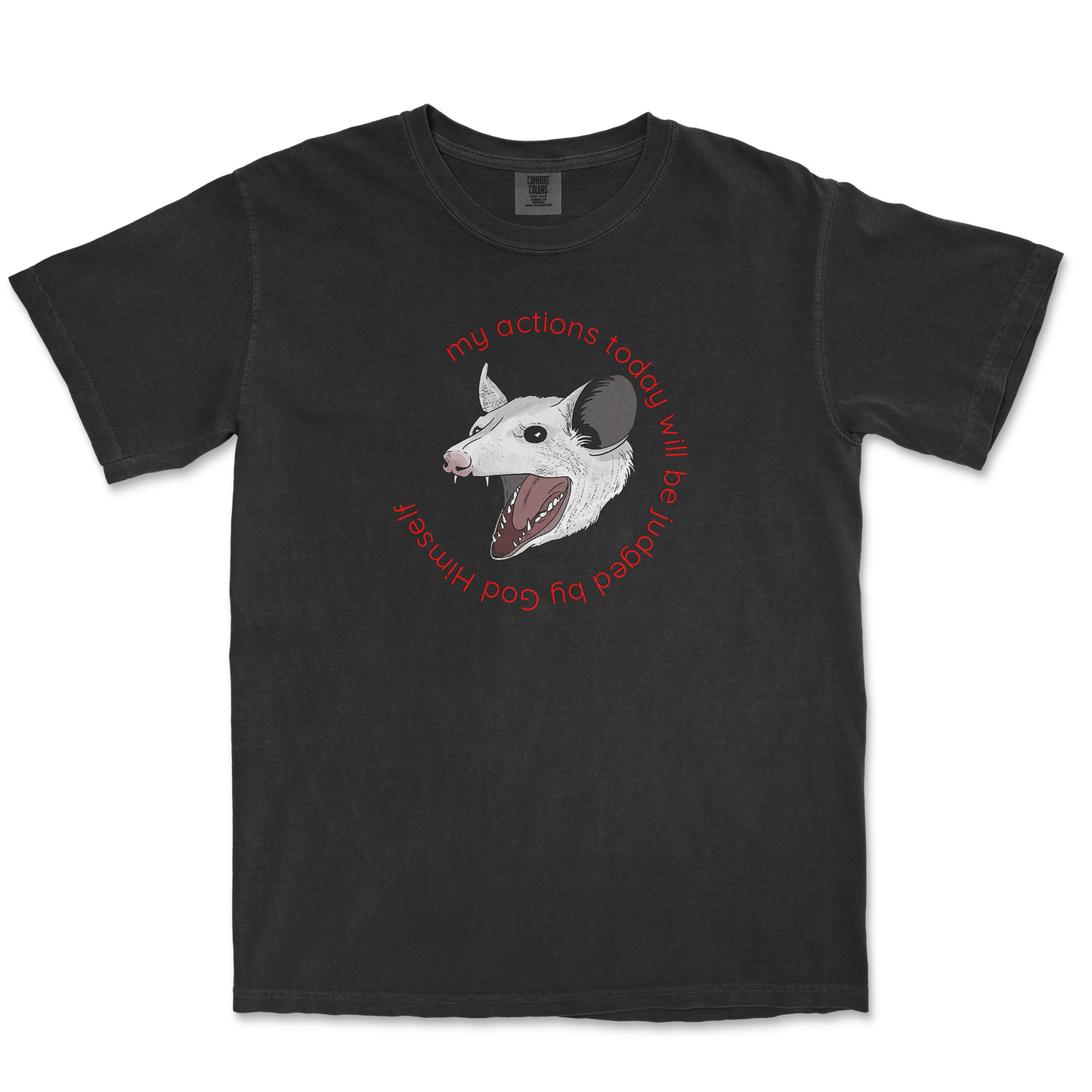 Comfort Colors T-Shirt in Black