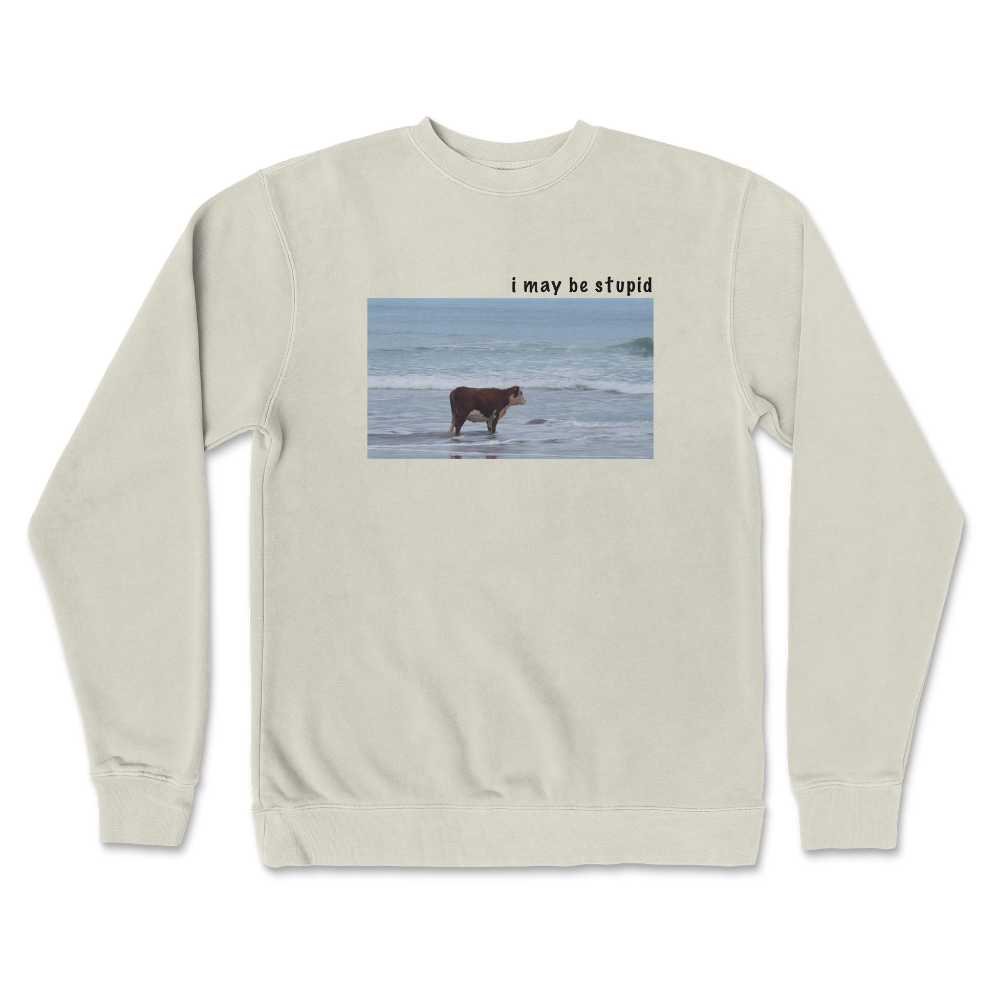 Independent Clothing Co. Crew Neck Stupid in Bone