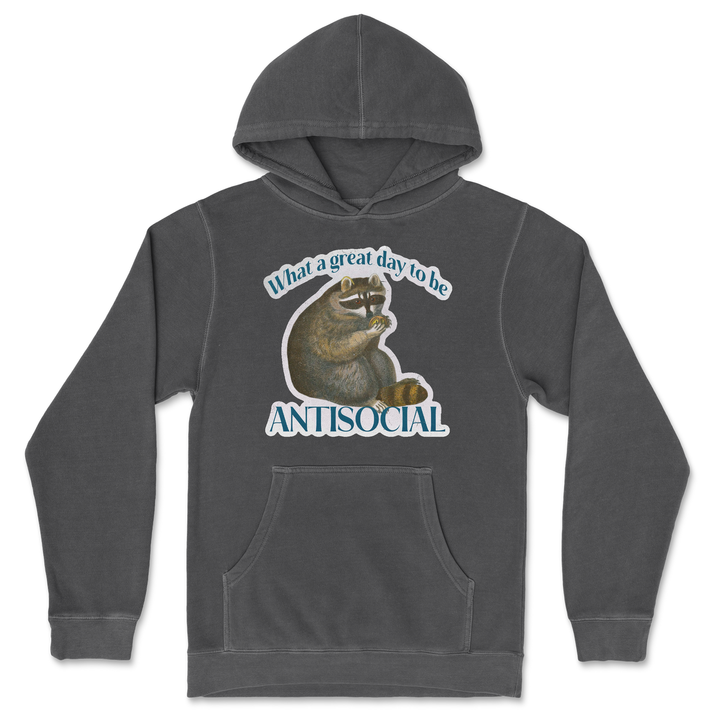 Independent Clothing Co. Hoodie Antisocial in Black
