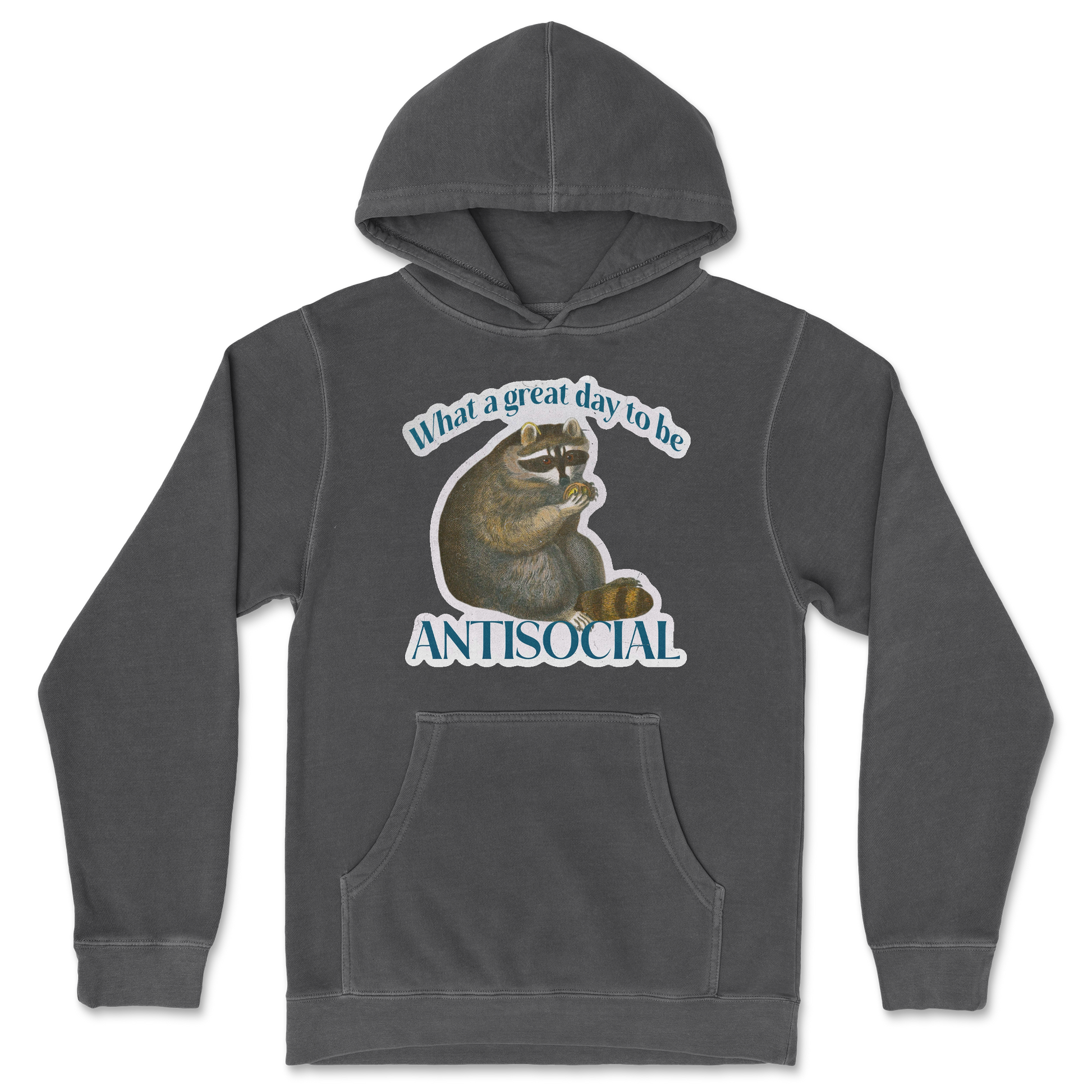 Independent Clothing Co. Hoodie Antisocial in Black