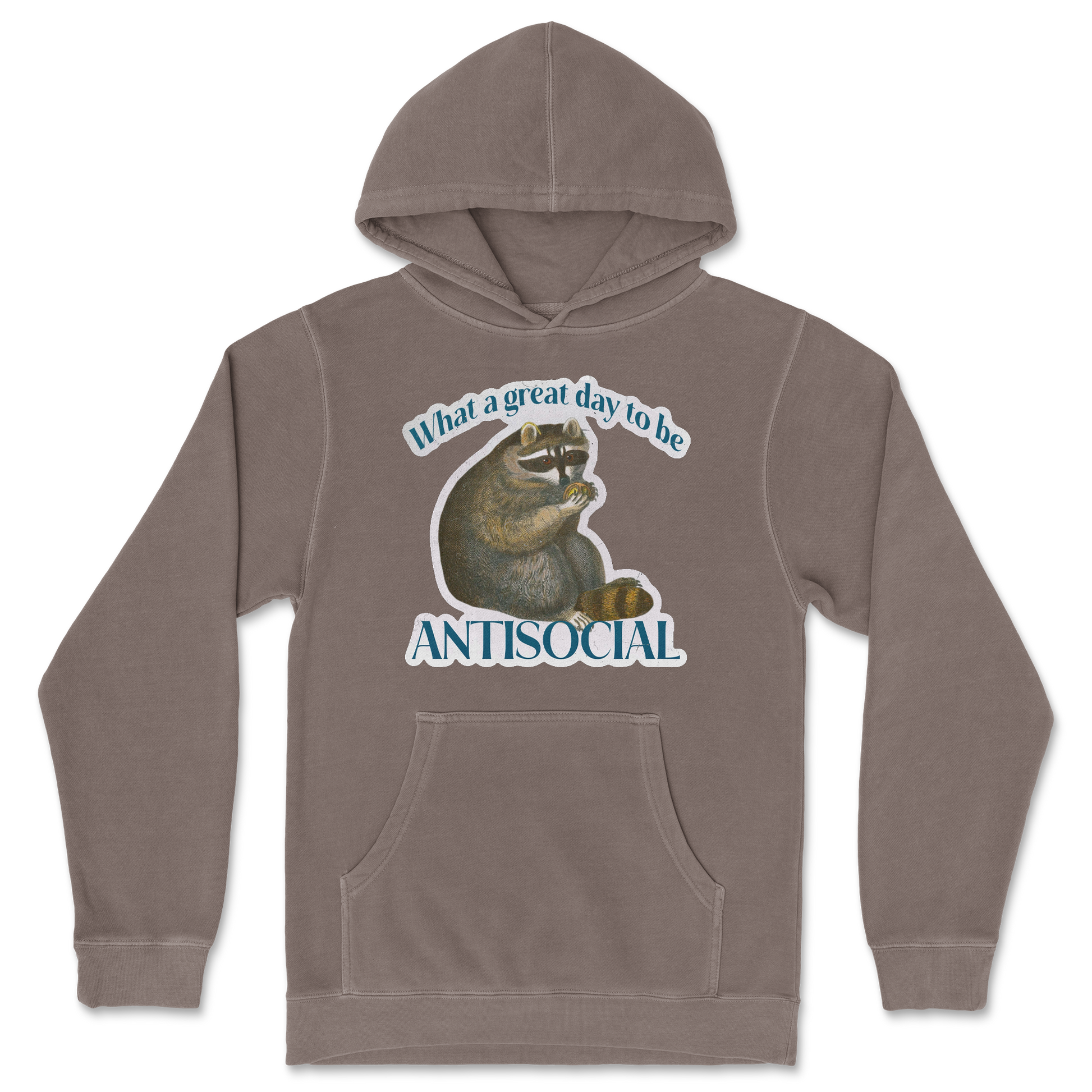 Independent Clothing Co. Hoodie Antisocial in Clay