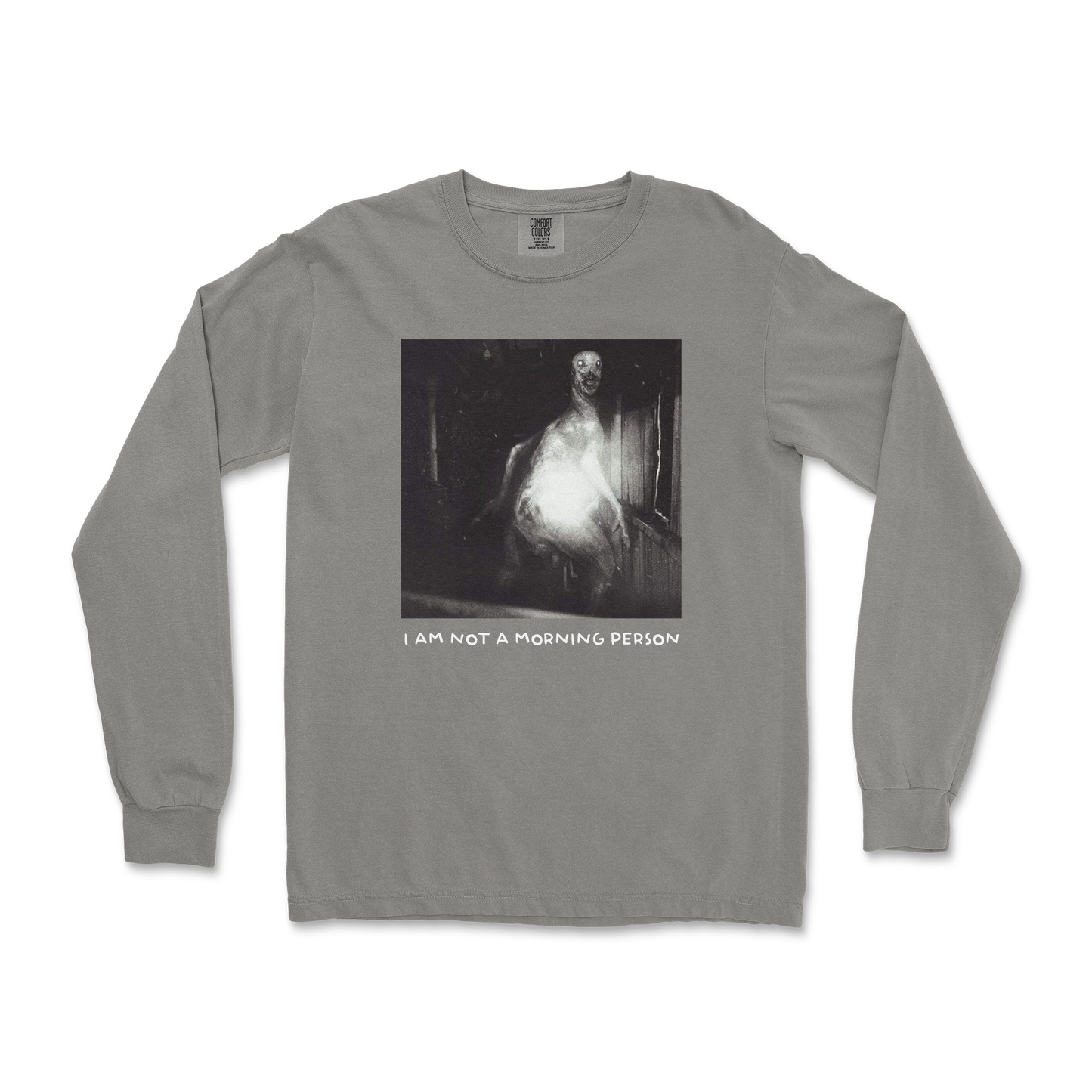 Comfort Colors Long Sleeve Not A Morning Person in Grey