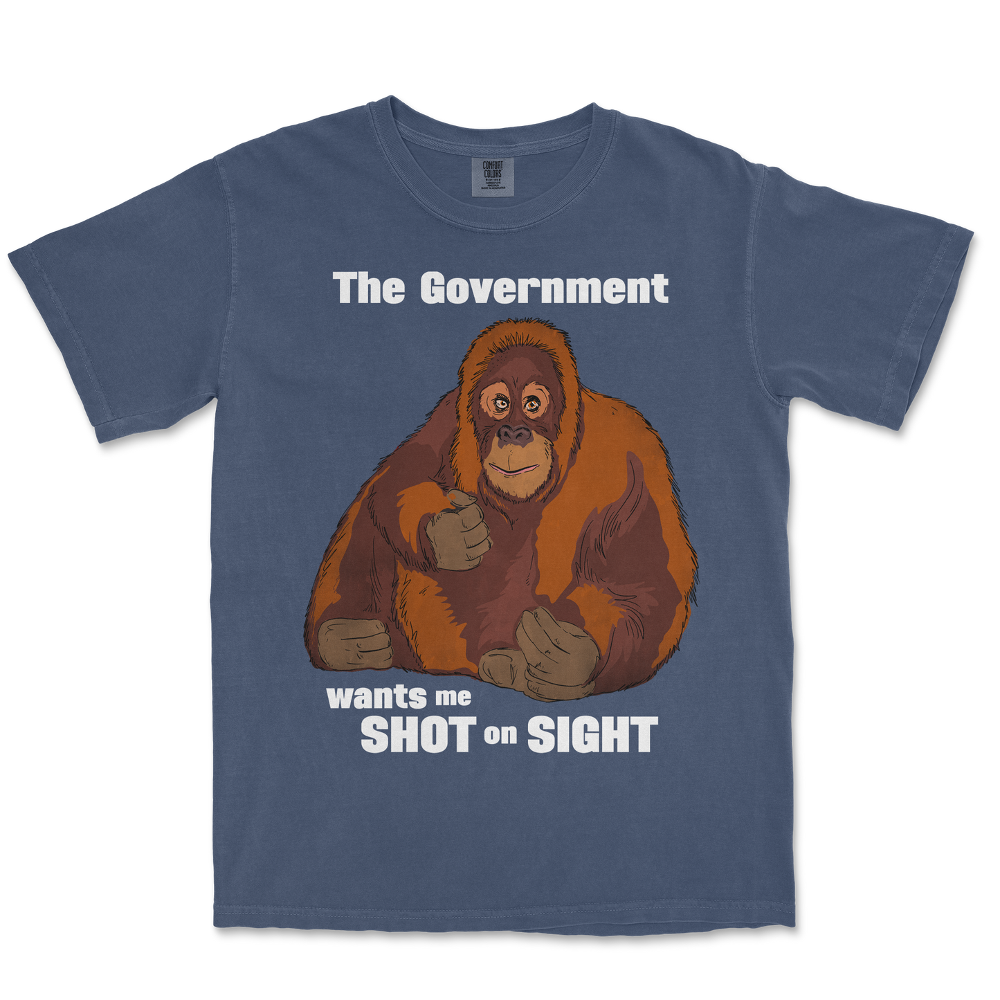 Comfort Colors T-Shirt The Government Hates Me in Midnight