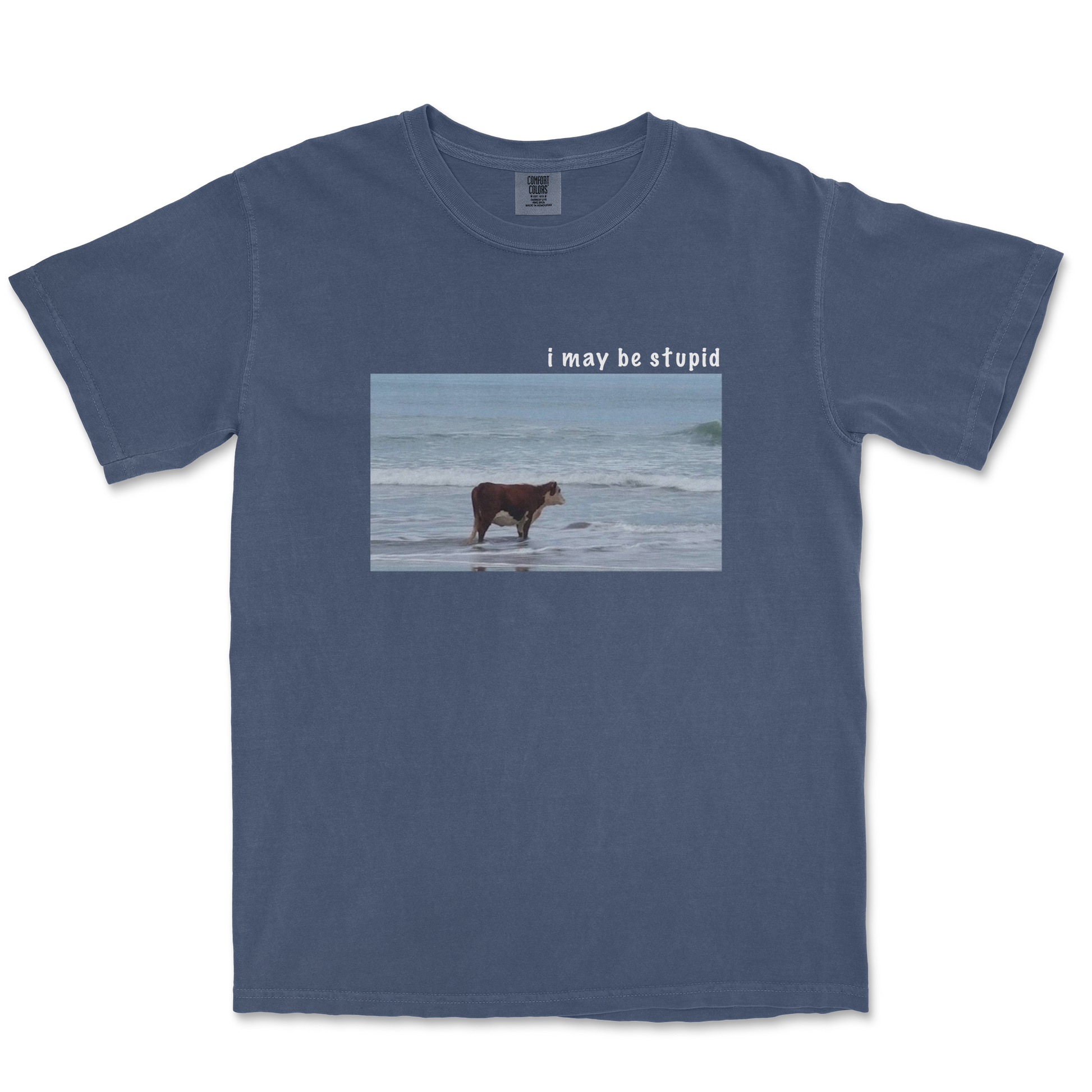 Comfort Colors T-Shirt Stupid in Midnight