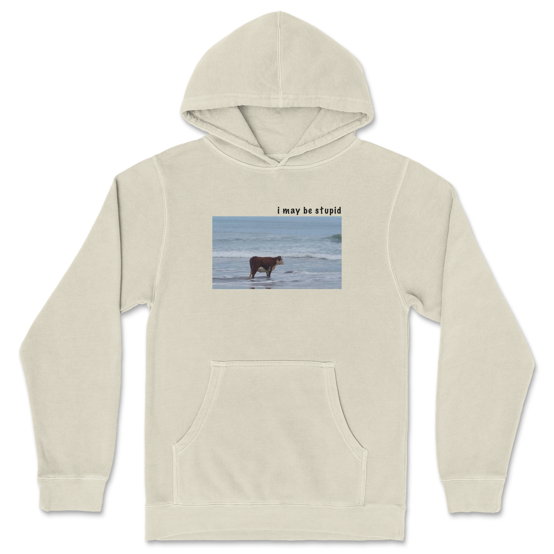 Independent Clothing Co. Hoodie Stupid in Ivory
