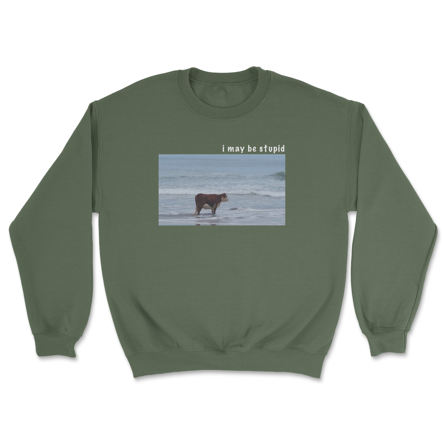 Heavy Blend Crew Neck Stupid in Military Green