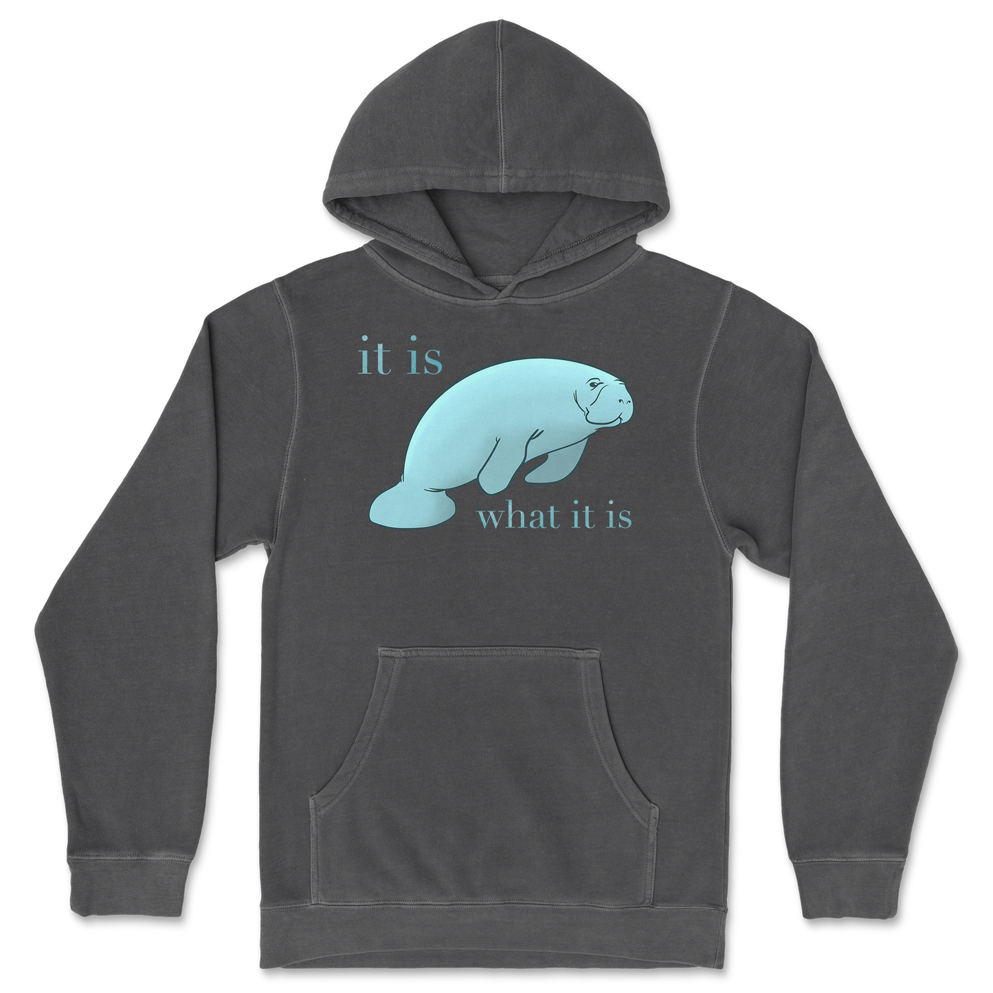 Independent Clothing Co. Hoodie Manatee in Black
