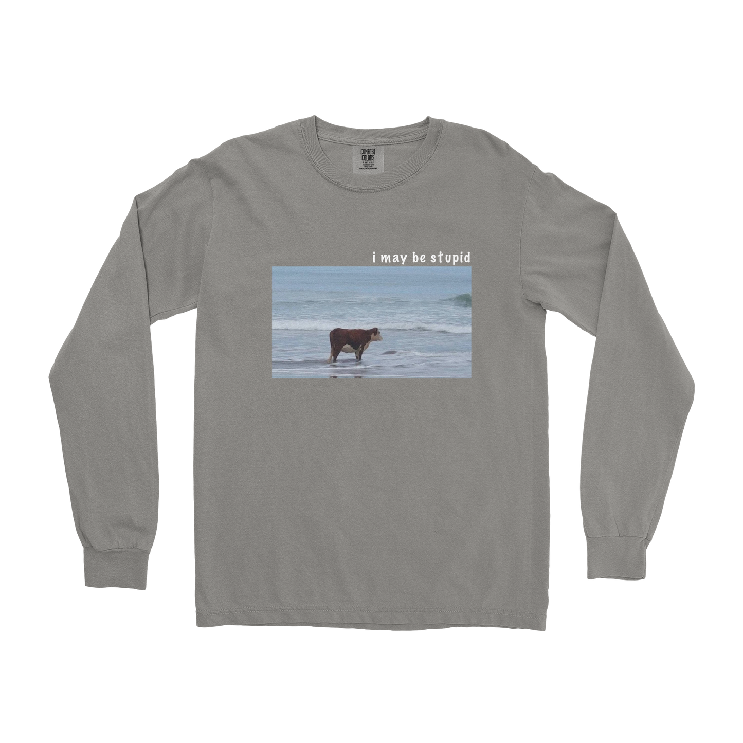 Comfort Colors Long Sleeve Stupid in Grey