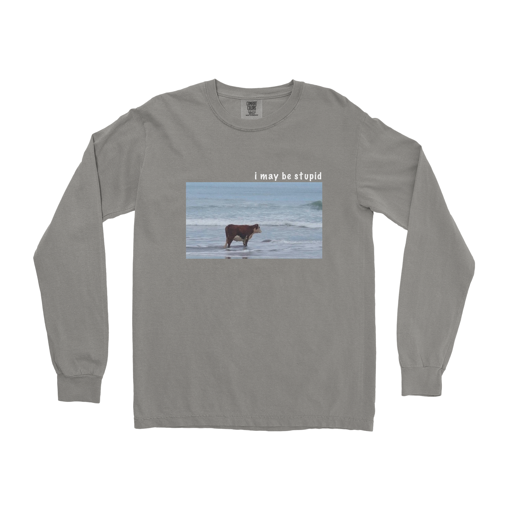 Comfort Colors Long Sleeve Stupid in Grey