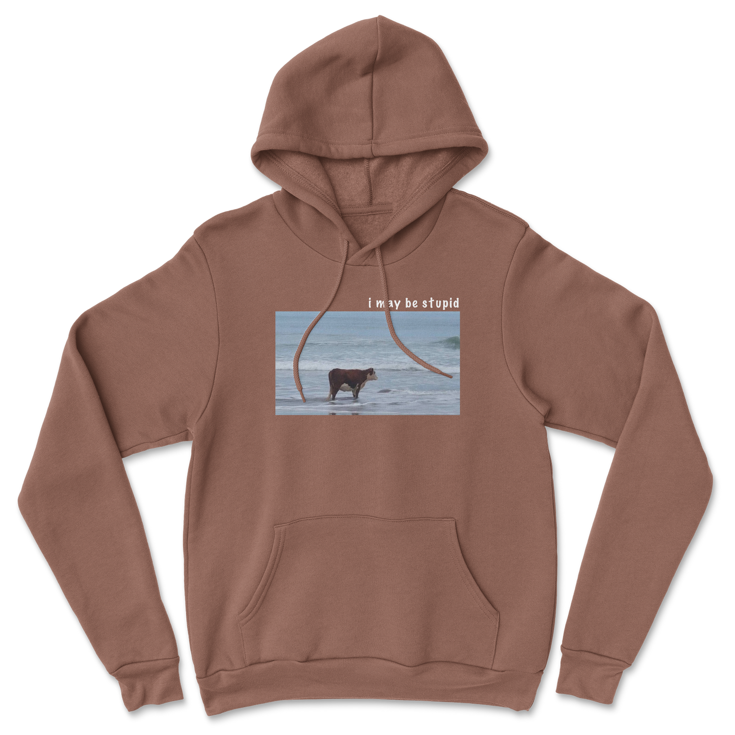 Heavy Blend Hoodie Stupid in Cocoa